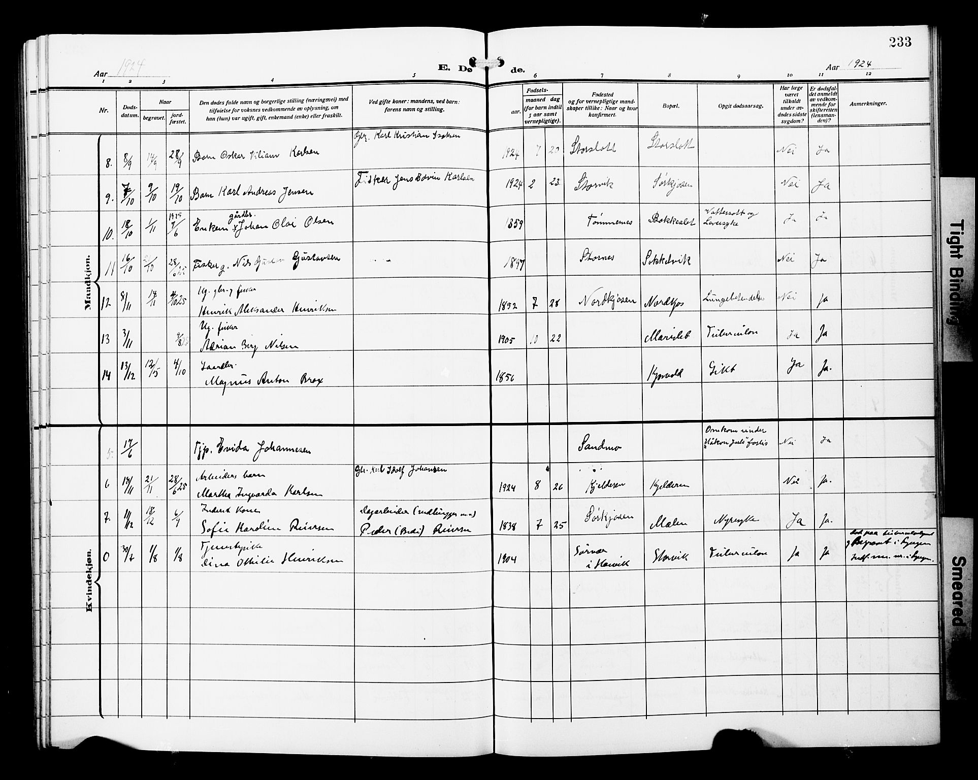 Skjervøy sokneprestkontor, AV/SATØ-S-1300/H/Ha/Hab/L0022klokker: Parish register (copy) no. 22, 1910-1926, p. 233