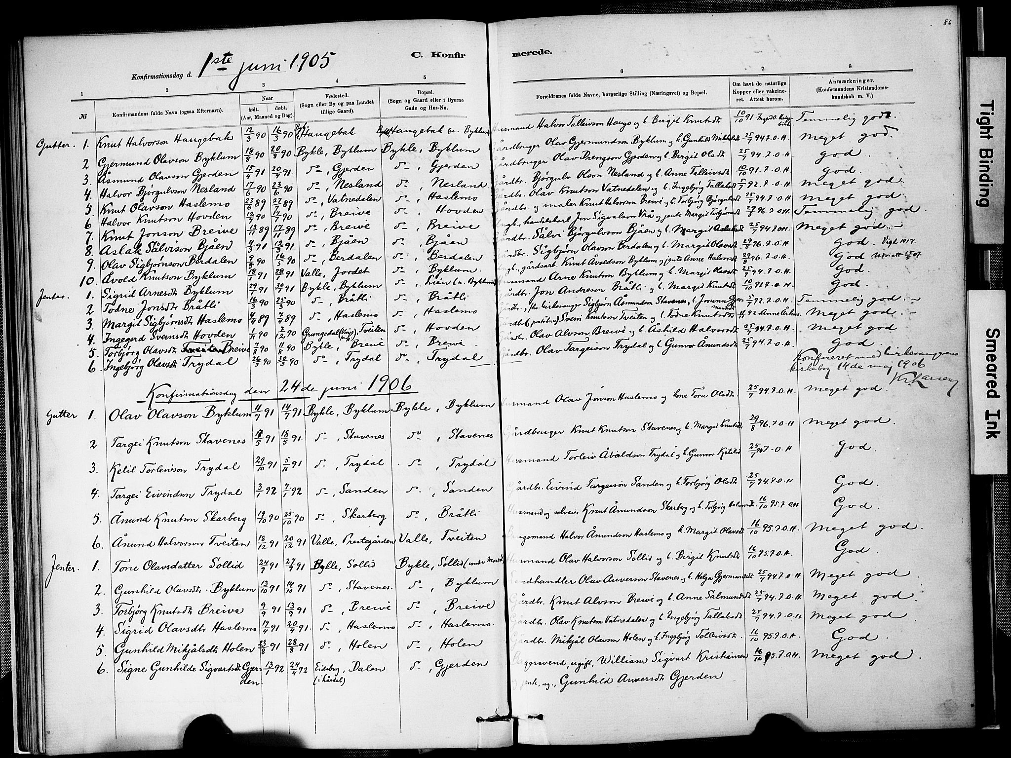 Valle sokneprestkontor, AV/SAK-1111-0044/F/Fa/Faa/L0001: Parish register (official) no. A 1, 1882-1907, p. 86