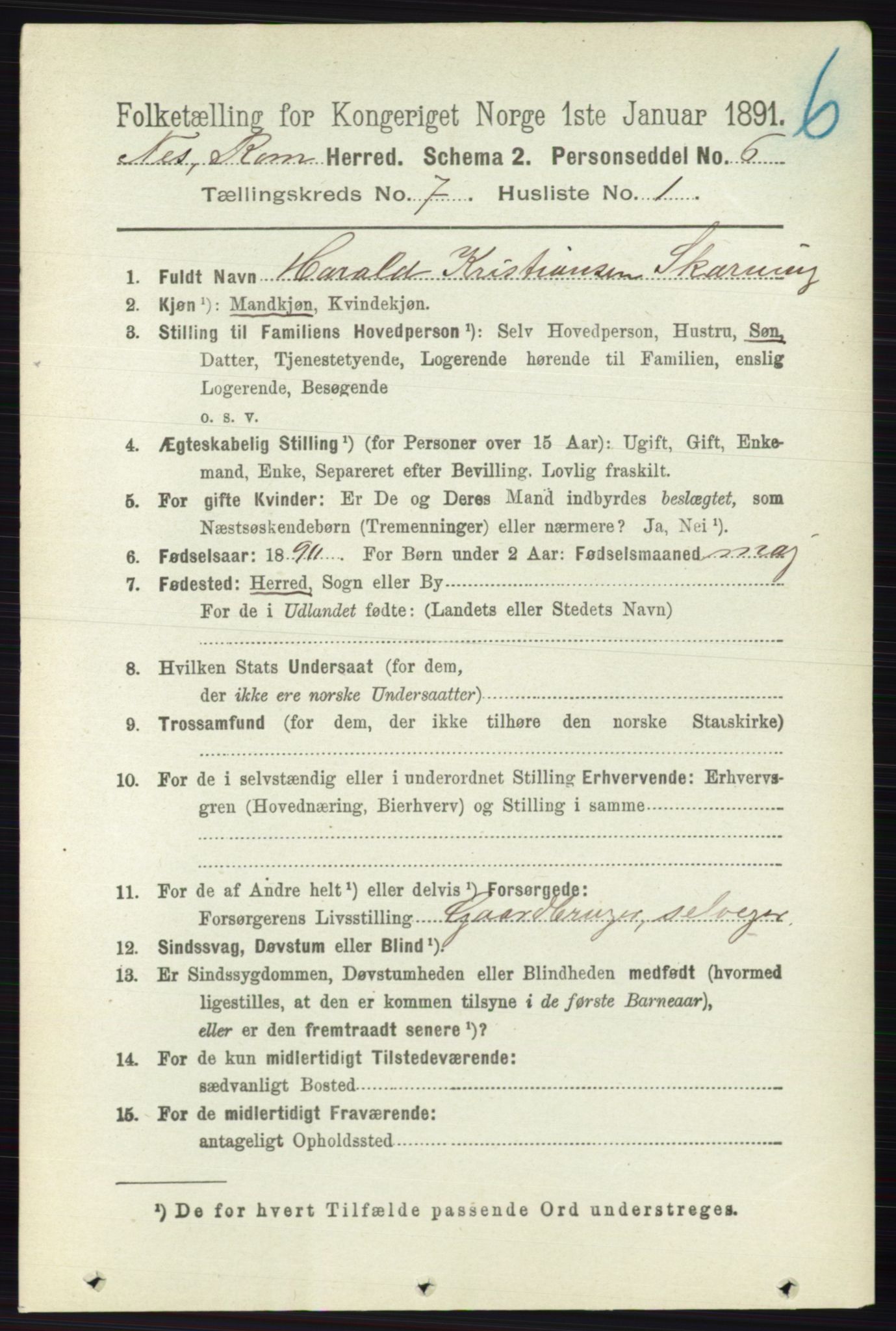 RA, 1891 census for 0236 Nes, 1891, p. 4017