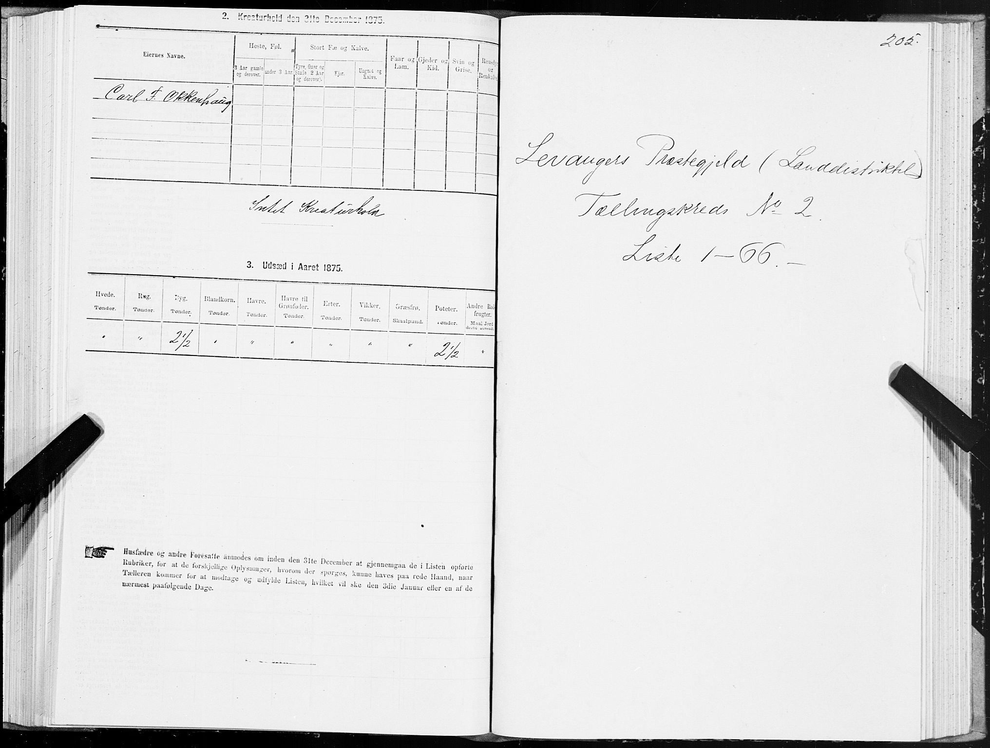 SAT, 1875 census for 1720L Levanger/Levanger, 1875, p. 1205