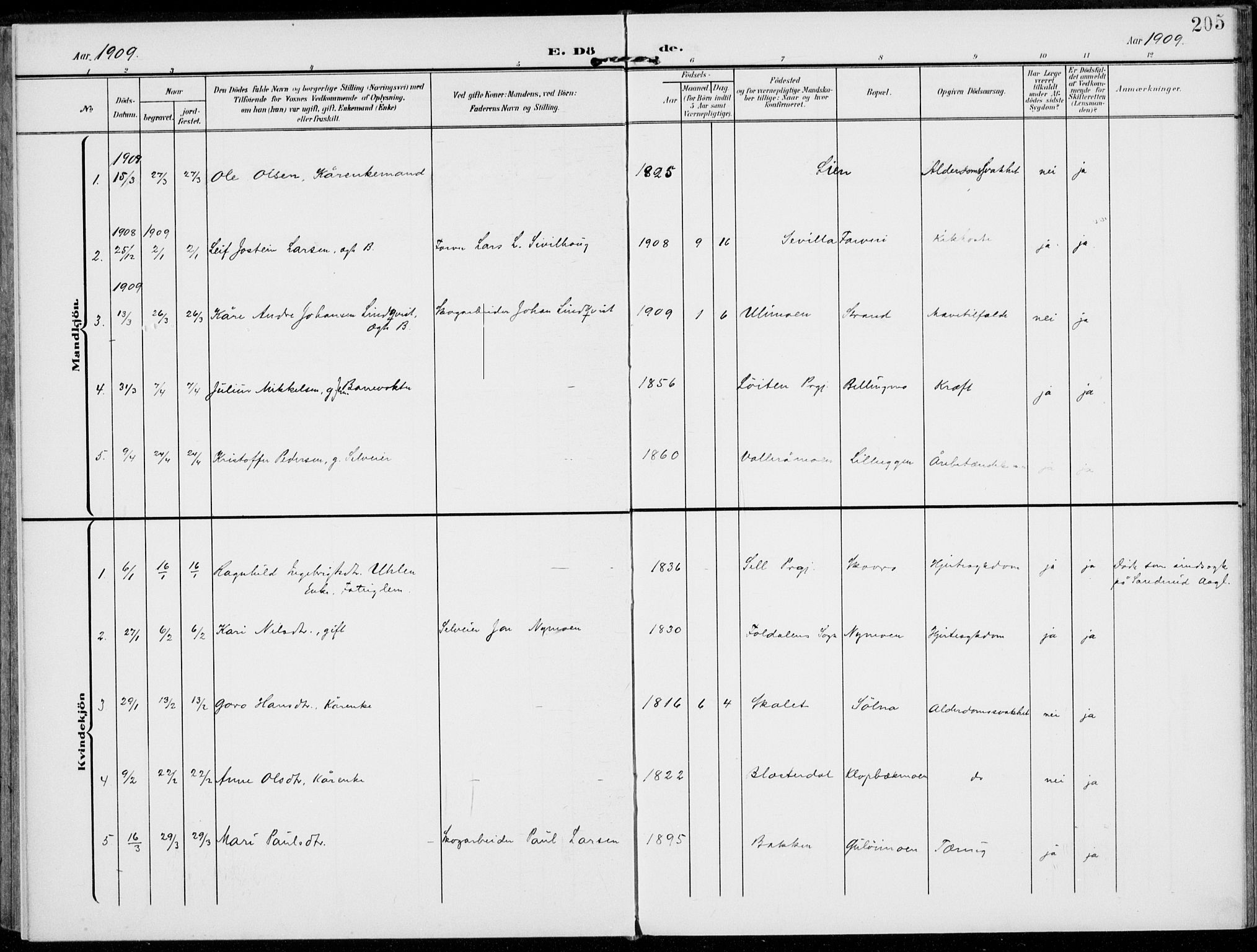 Alvdal prestekontor, SAH/PREST-060/H/Ha/Haa/L0004: Parish register (official) no. 4, 1907-1919, p. 205