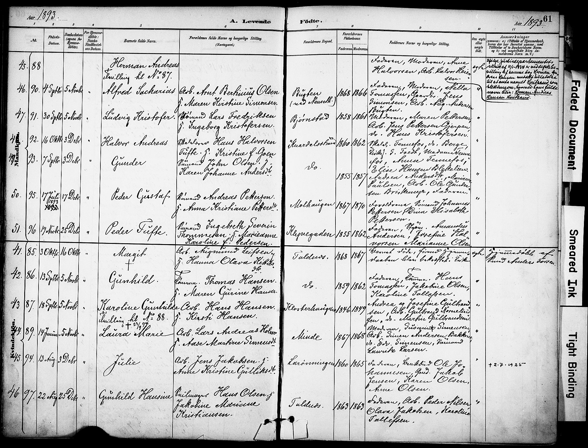Solum kirkebøker, AV/SAKO-A-306/F/Fa/L0010: Parish register (official) no. I 10, 1888-1898, p. 61