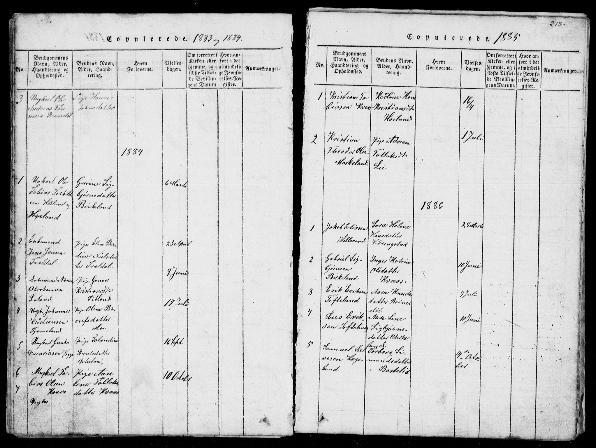 Lyngdal sokneprestkontor, AV/SAK-1111-0029/F/Fb/Fbb/L0001: Parish register (copy) no. B 1, 1816-1900, p. 213