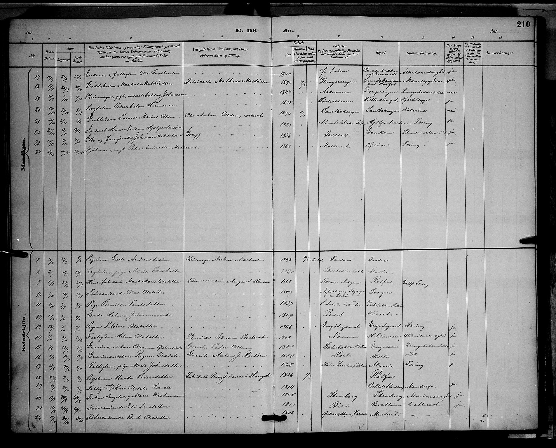 Vestre Toten prestekontor, SAH/PREST-108/H/Ha/Hab/L0009: Parish register (copy) no. 9, 1888-1900, p. 210
