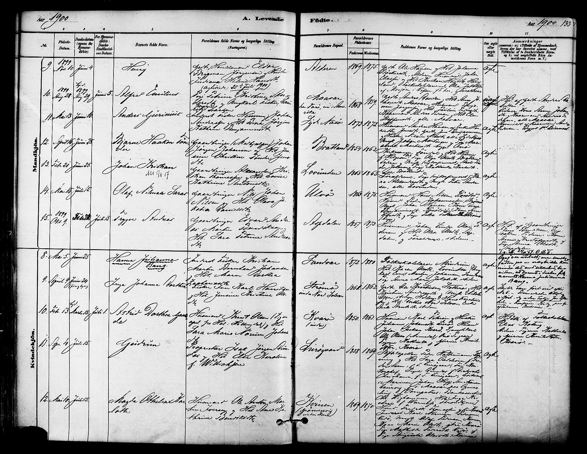 Ministerialprotokoller, klokkerbøker og fødselsregistre - Nordland, SAT/A-1459/839/L0568: Parish register (official) no. 839A05, 1880-1902, p. 133