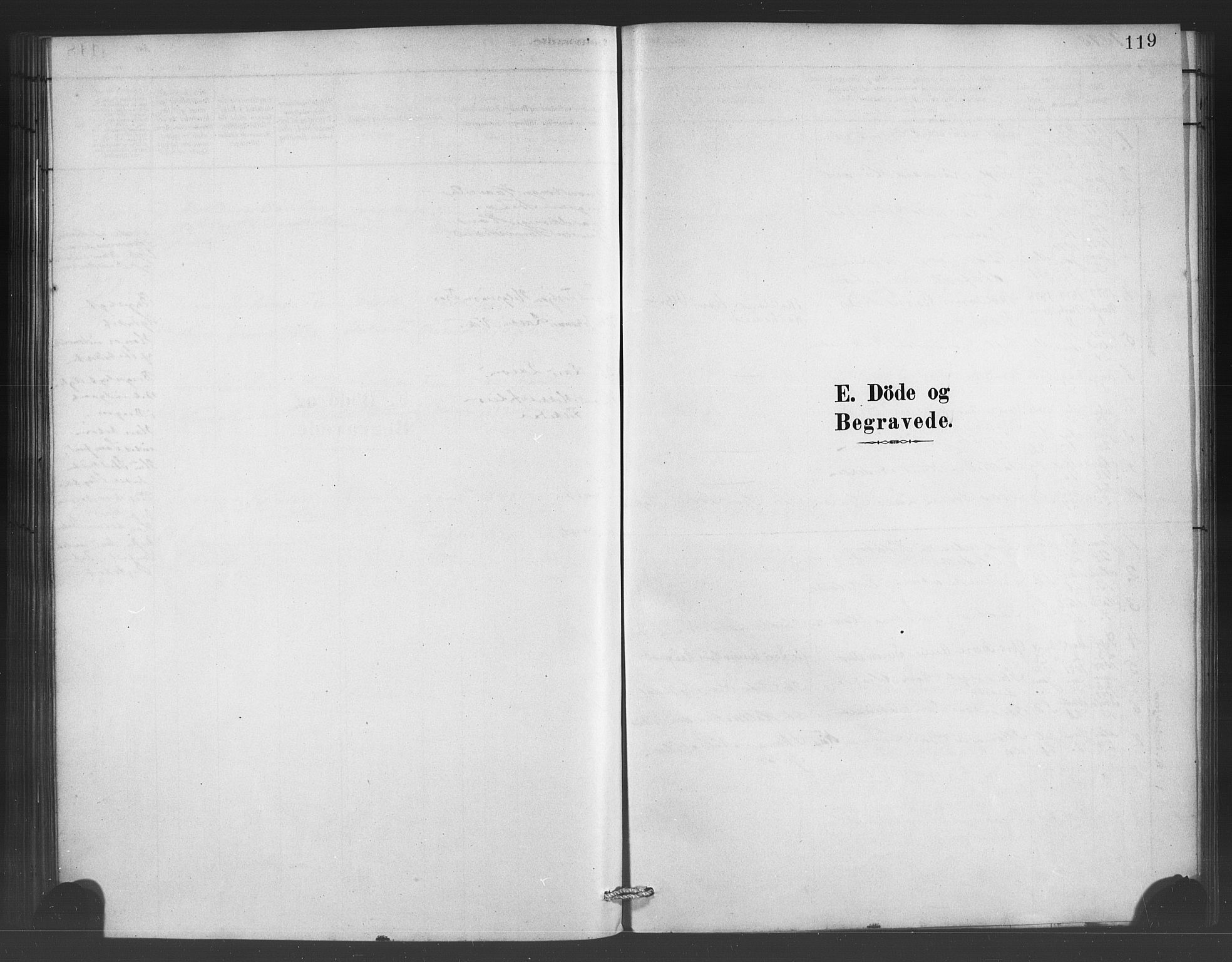 Ulvik sokneprestembete, SAB/A-78801/H/Haa: Parish register (official) no. C 1, 1878-1903, p. 119
