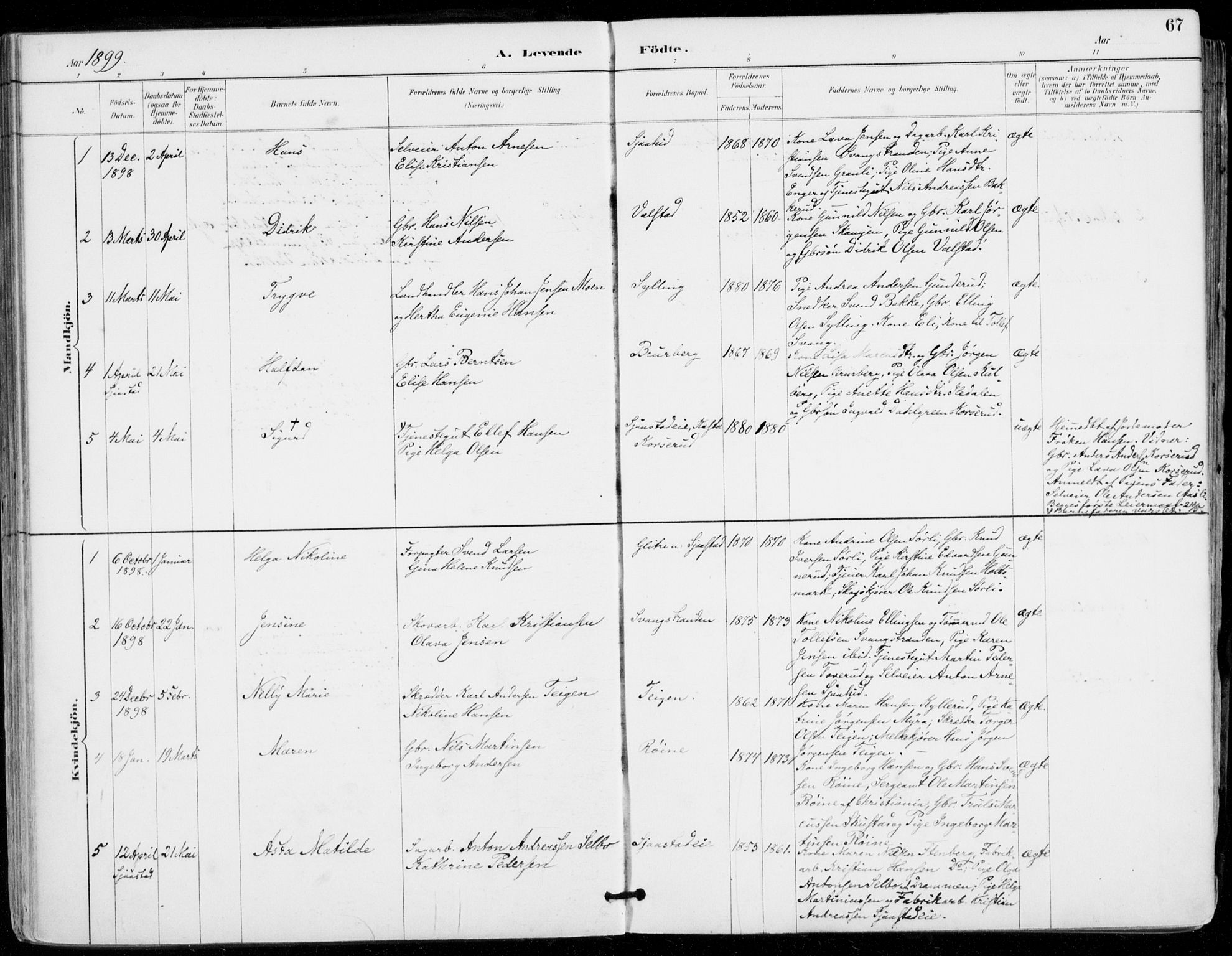 Sylling kirkebøker, AV/SAKO-A-247/F/Fa/L0001: Parish register (official) no. 1, 1883-1910, p. 67