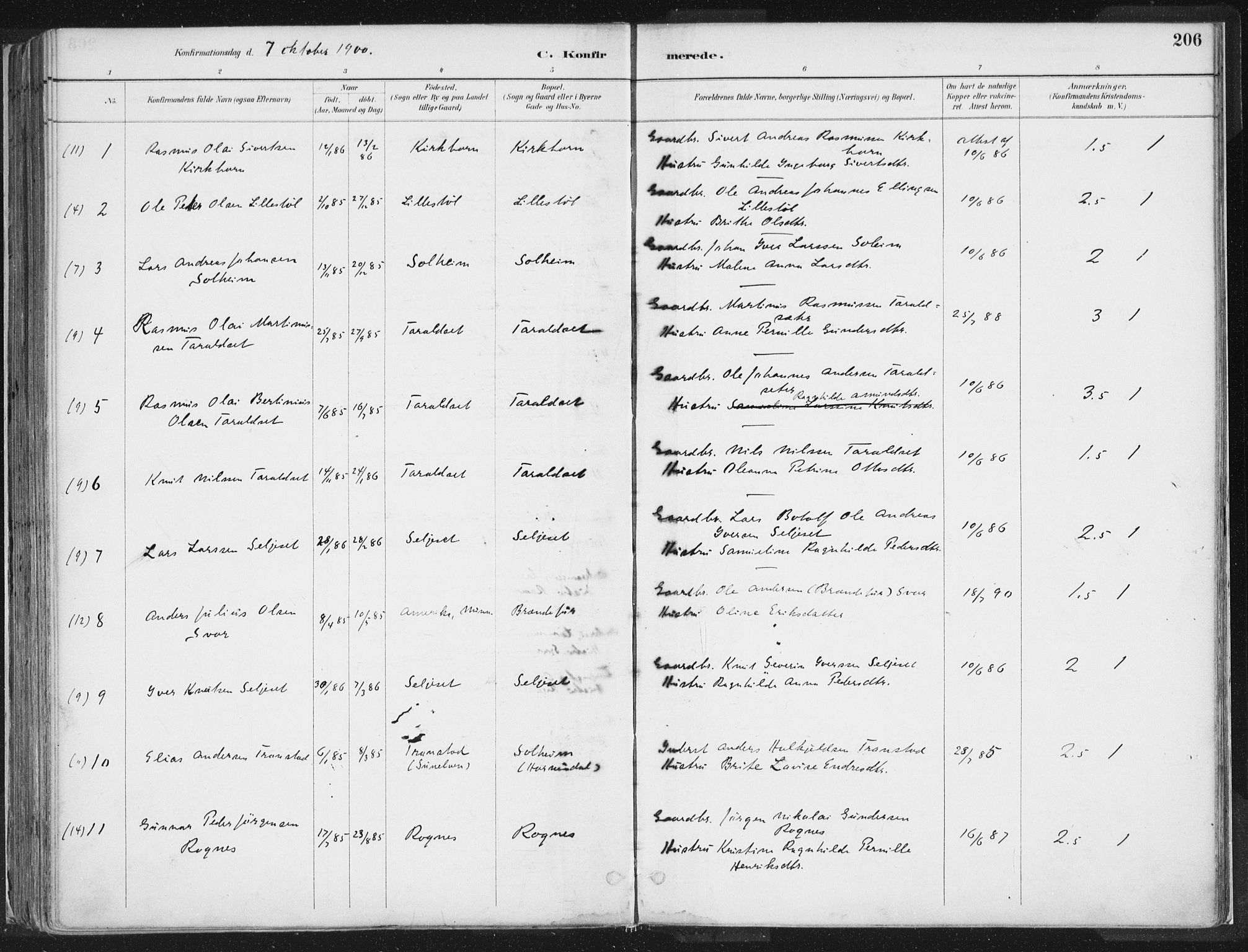 Hornindal sokneprestembete, AV/SAB-A-82401/H/Haa/Haaa/L0003/0001: Parish register (official) no. A 3A, 1887-1917, p. 206