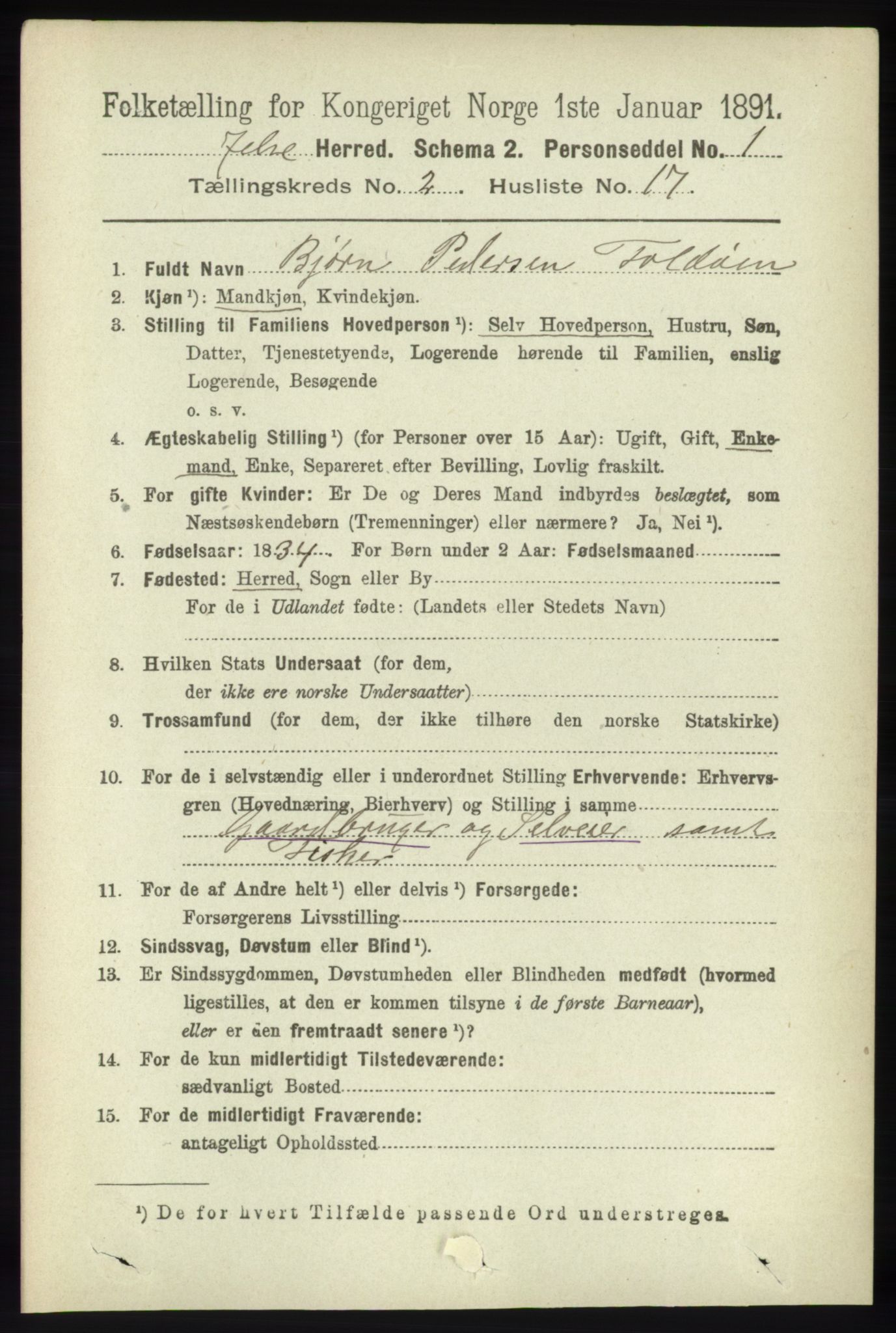 RA, 1891 census for 1138 Jelsa, 1891, p. 324