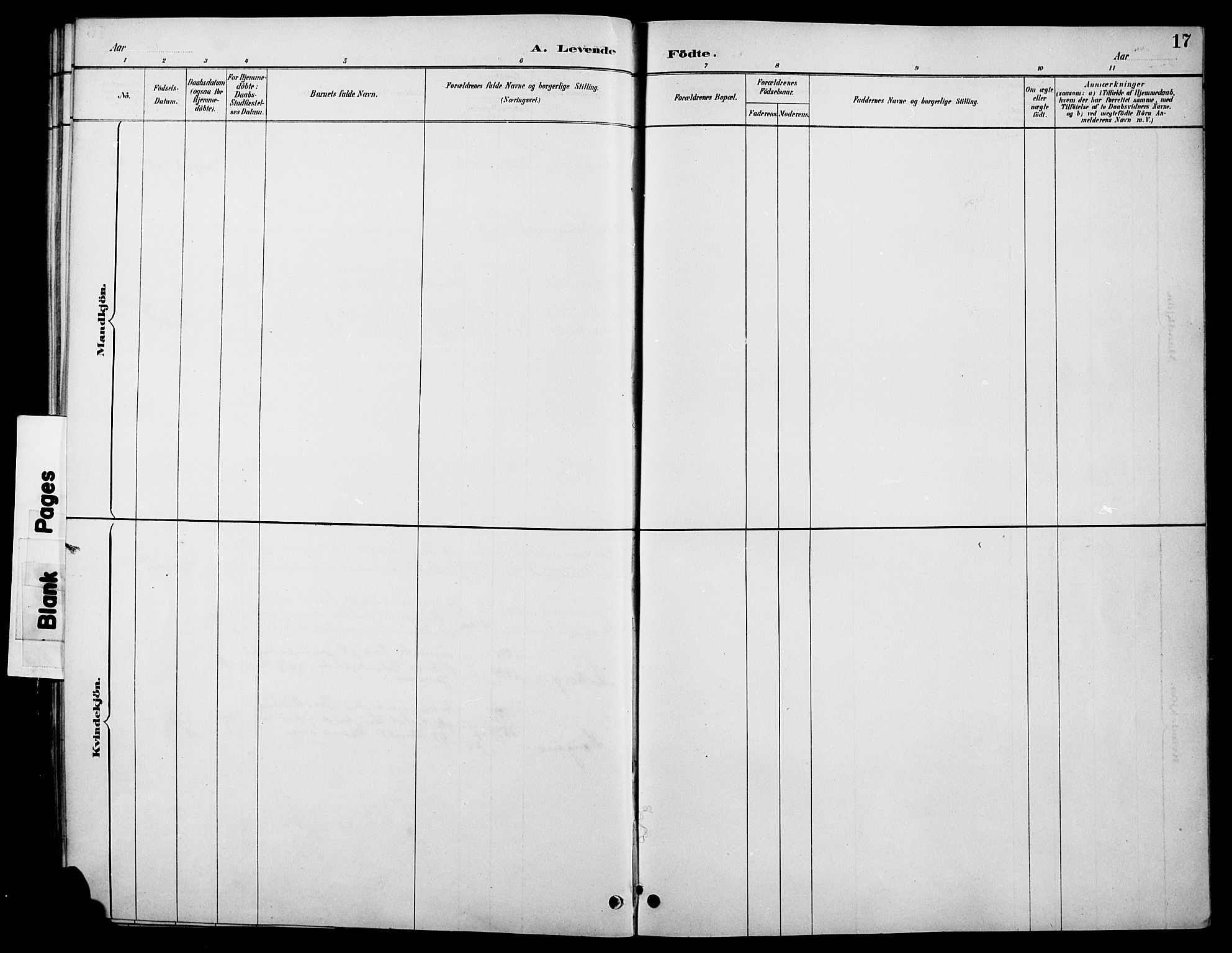 Øystre Slidre prestekontor, SAH/PREST-138/H/Ha/Hab/L0006: Parish register (copy) no. 6, 1887-1916, p. 17