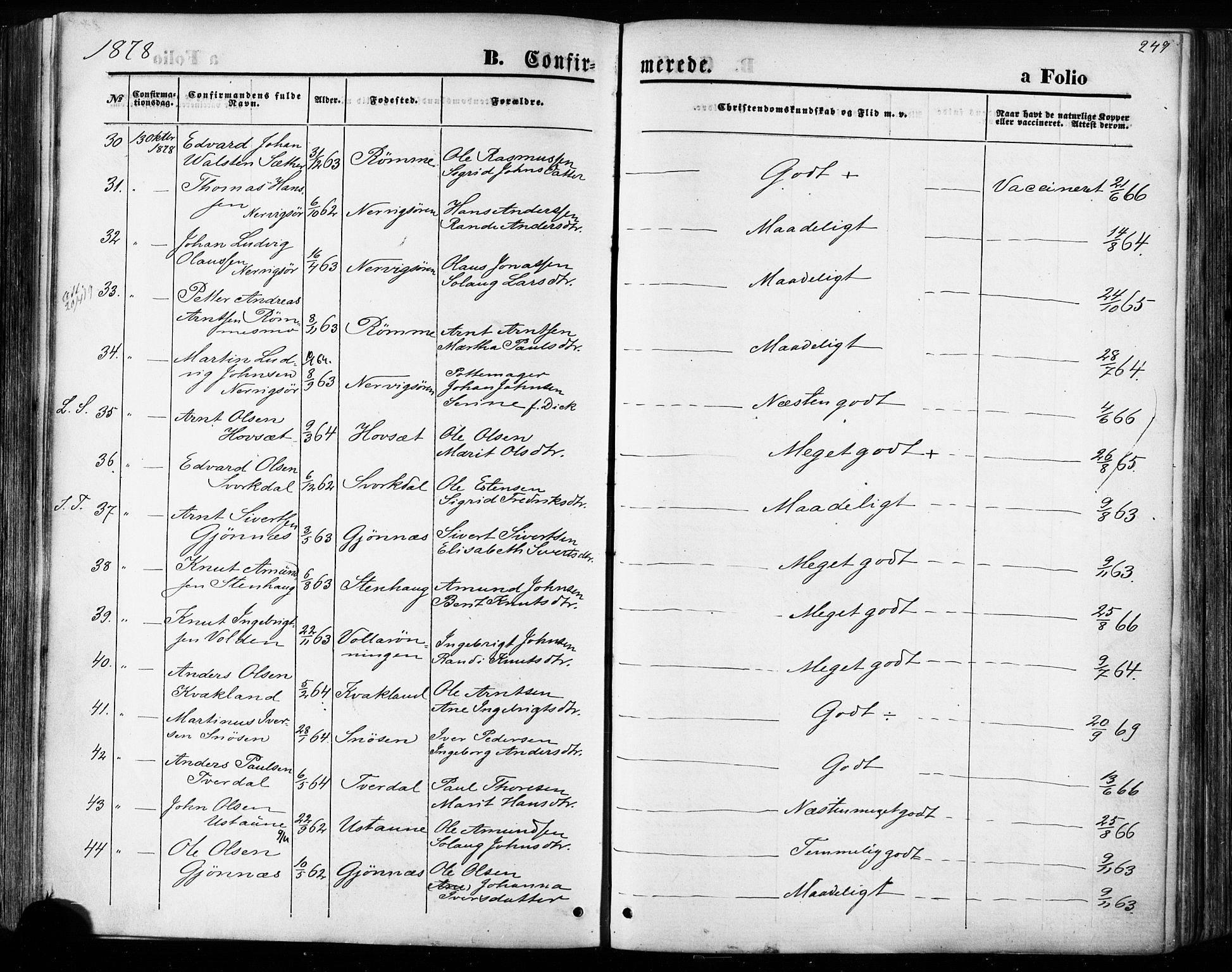 Ministerialprotokoller, klokkerbøker og fødselsregistre - Sør-Trøndelag, AV/SAT-A-1456/668/L0807: Parish register (official) no. 668A07, 1870-1880, p. 249