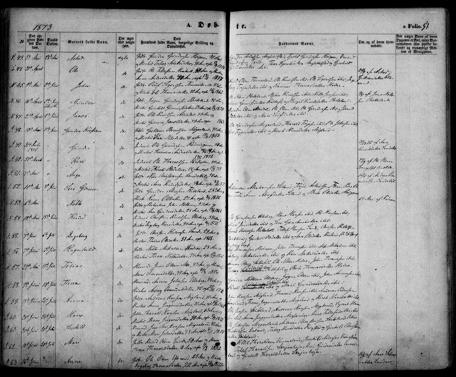 Evje sokneprestkontor, AV/SAK-1111-0008/F/Fa/Faa/L0006: Parish register (official) no. A 6, 1866-1884, p. 51