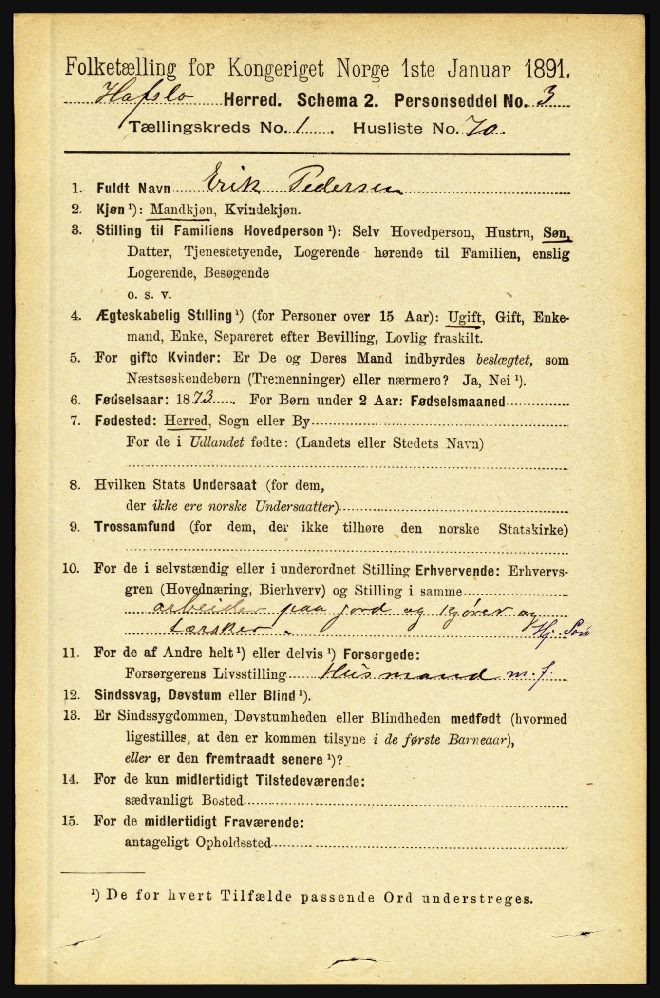 RA, 1891 census for 1425 Hafslo, 1891, p. 473