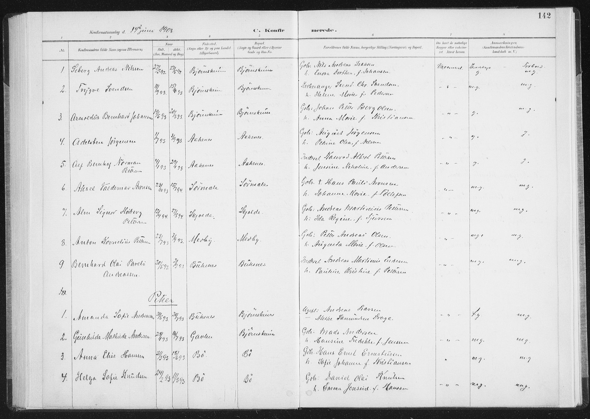 Ministerialprotokoller, klokkerbøker og fødselsregistre - Nordland, SAT/A-1459/898/L1422: Parish register (official) no. 898A02, 1887-1908, p. 142