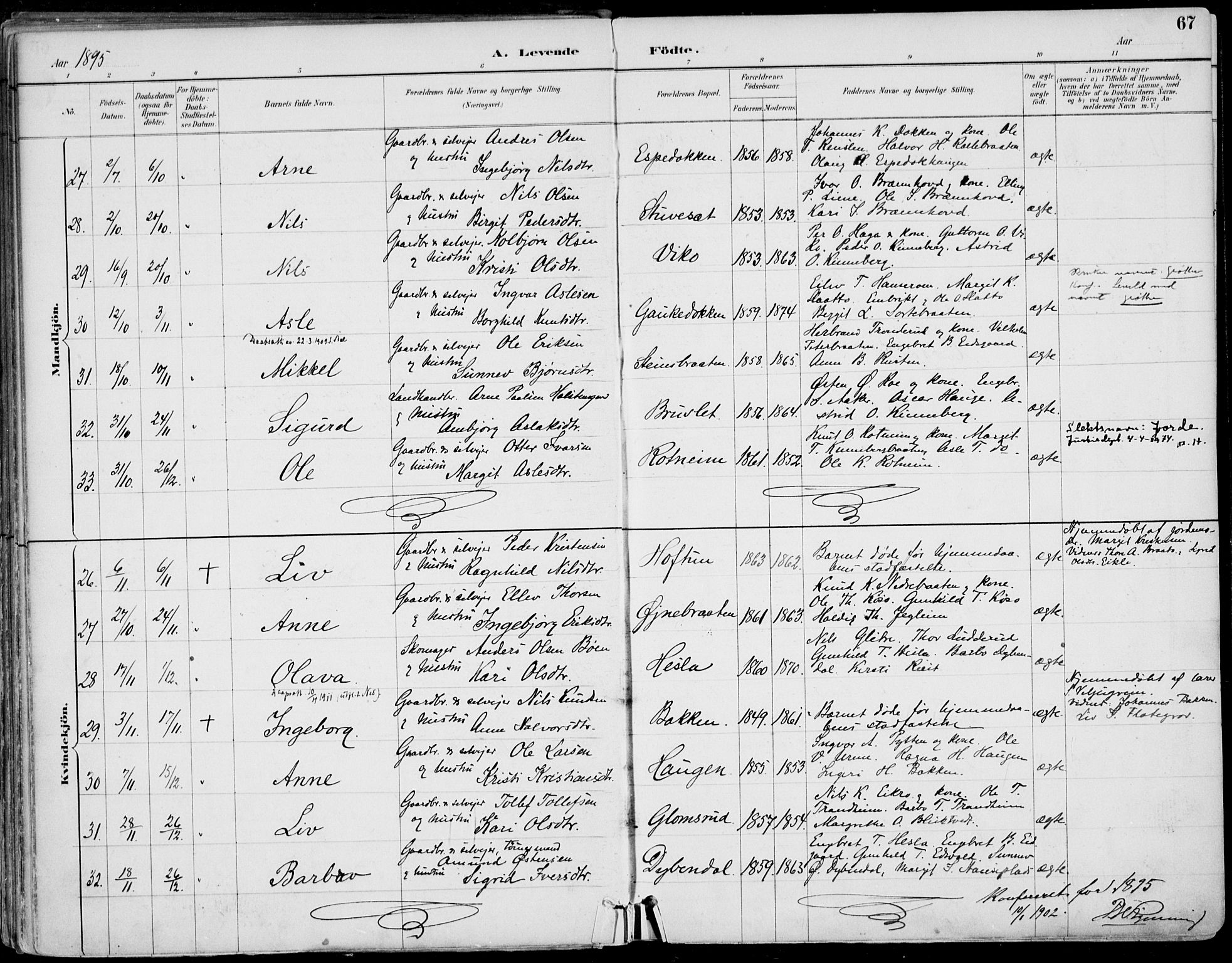 Gol kirkebøker, AV/SAKO-A-226/F/Fa/L0005: Parish register (official) no. I 5, 1887-1900, p. 67