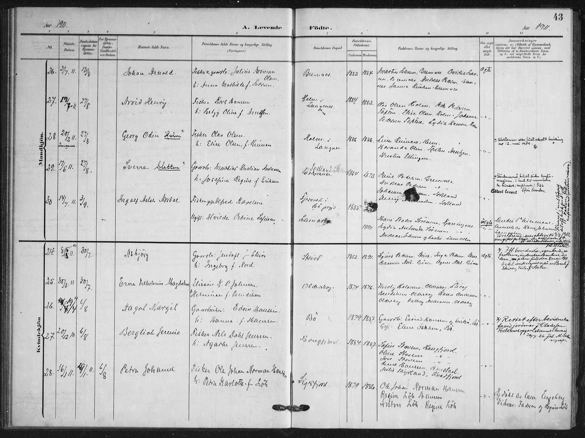 Ministerialprotokoller, klokkerbøker og fødselsregistre - Nordland, AV/SAT-A-1459/895/L1373: Parish register (official) no. 895A08, 1905-1915, p. 43