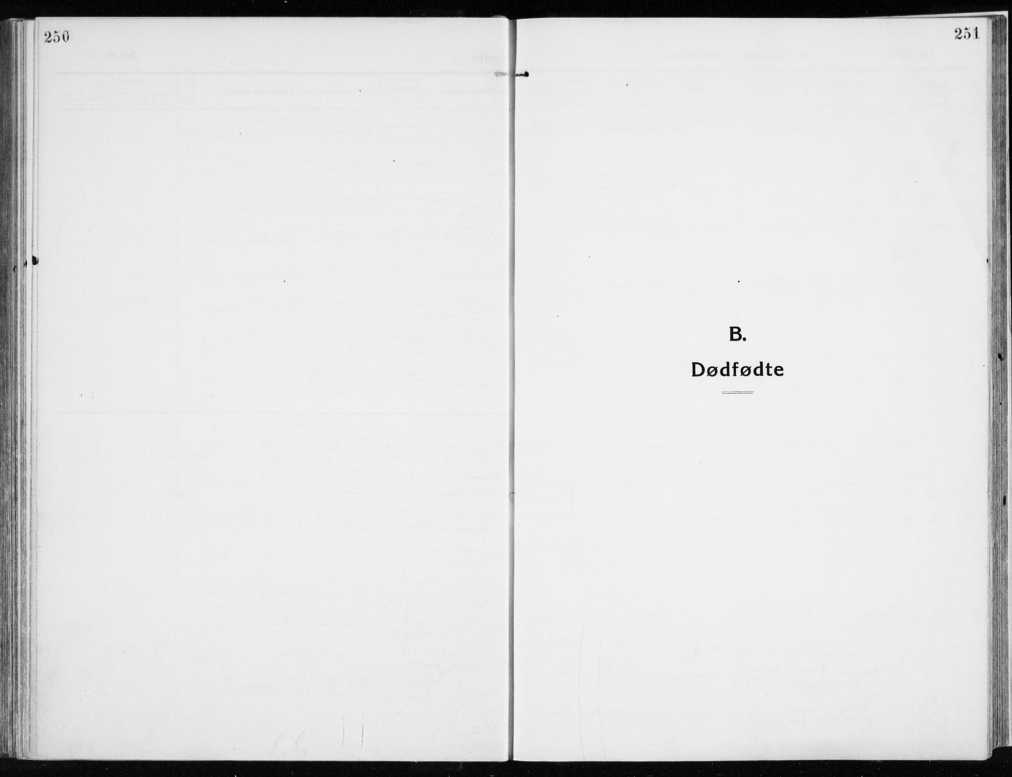 Ringsaker prestekontor, AV/SAH-PREST-014/K/Ka/L0020: Parish register (official) no. 20, 1913-1922, p. 250-251
