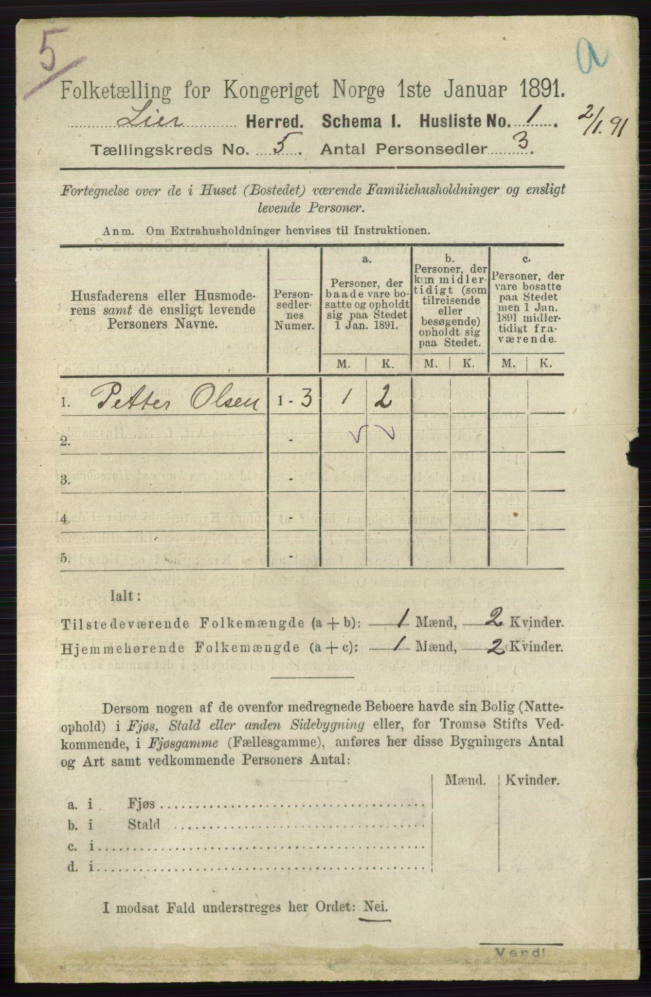 RA, 1891 census for 0626 Lier, 1891, p. 3215