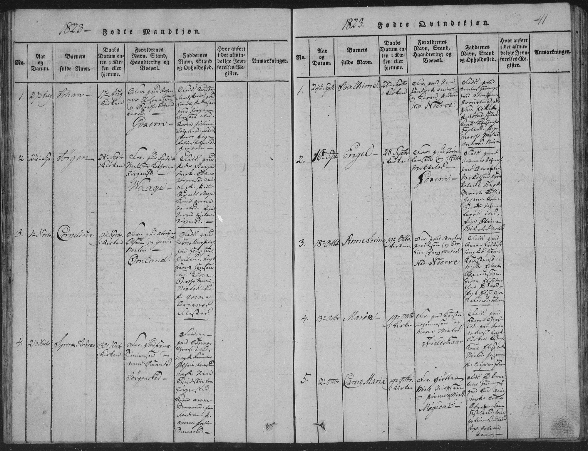 Sør-Audnedal sokneprestkontor, AV/SAK-1111-0039/F/Fb/Fba/L0001: Parish register (copy) no. B 1, 1815-1850, p. 41
