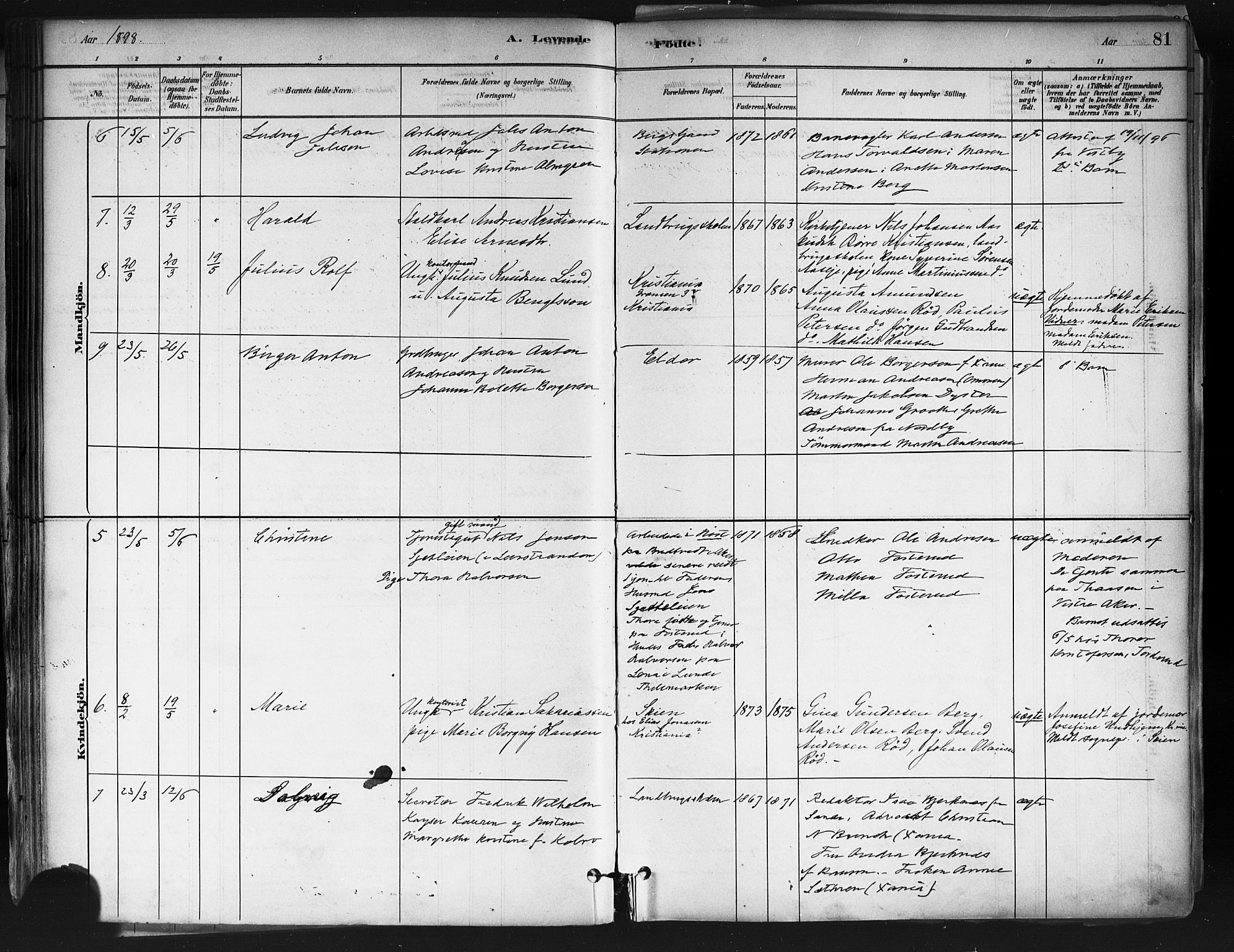 Ås prestekontor Kirkebøker, SAO/A-10894/F/Fa/L0009: Parish register (official) no. I 9, 1881-1900, p. 81