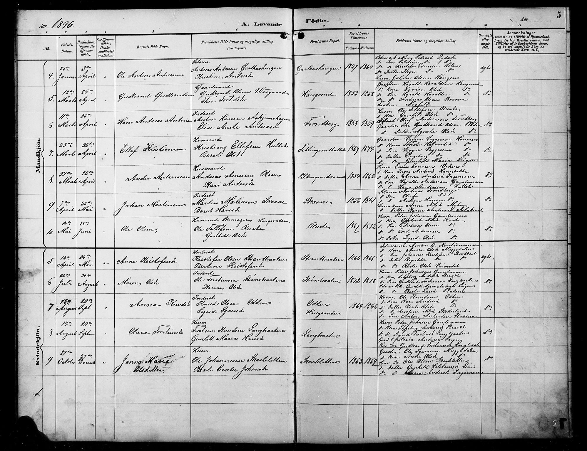 Sør-Aurdal prestekontor, AV/SAH-PREST-128/H/Ha/Hab/L0008: Parish register (copy) no. 8, 1894-1921, p. 5