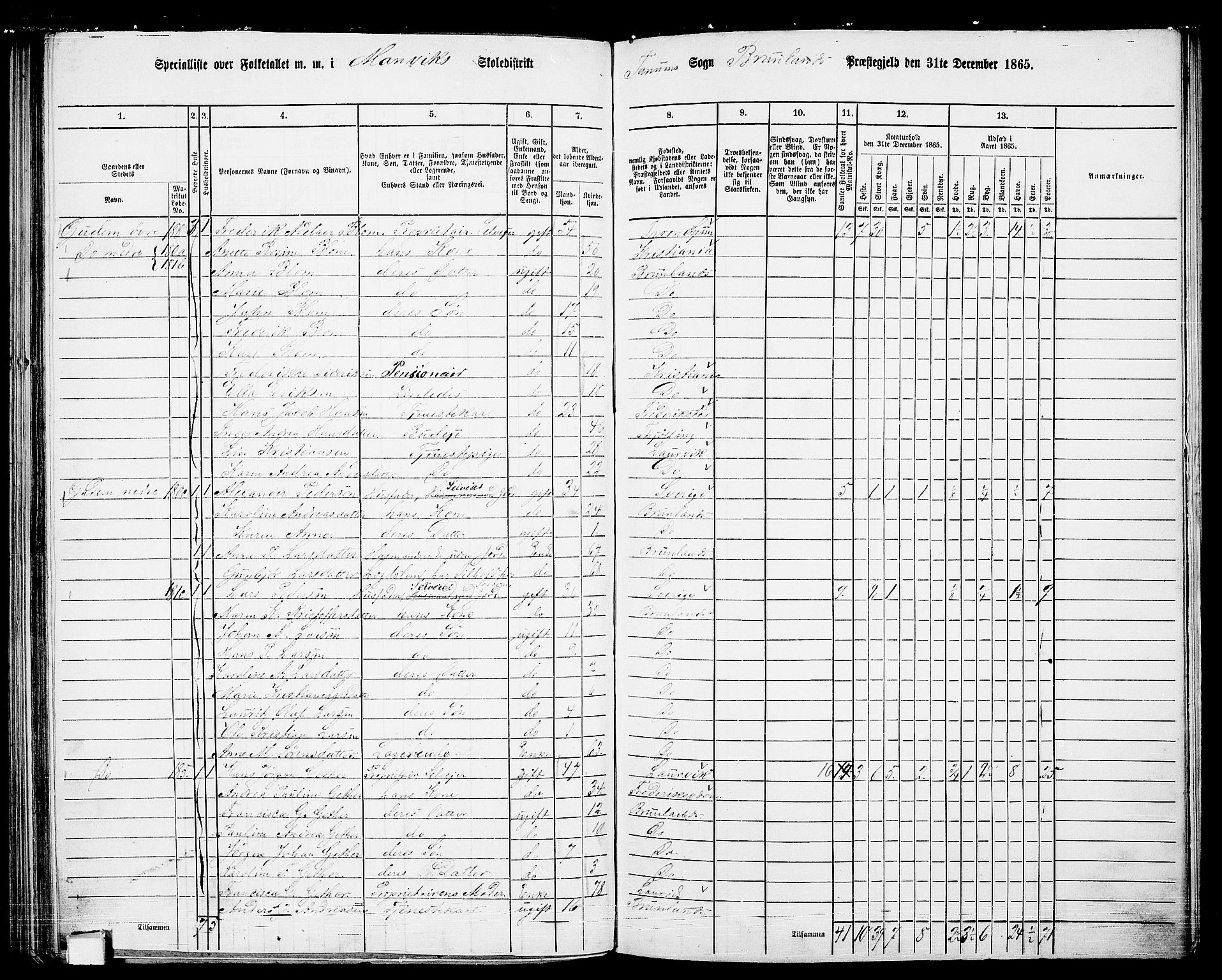 RA, 1865 census for Brunlanes, 1865, p. 129