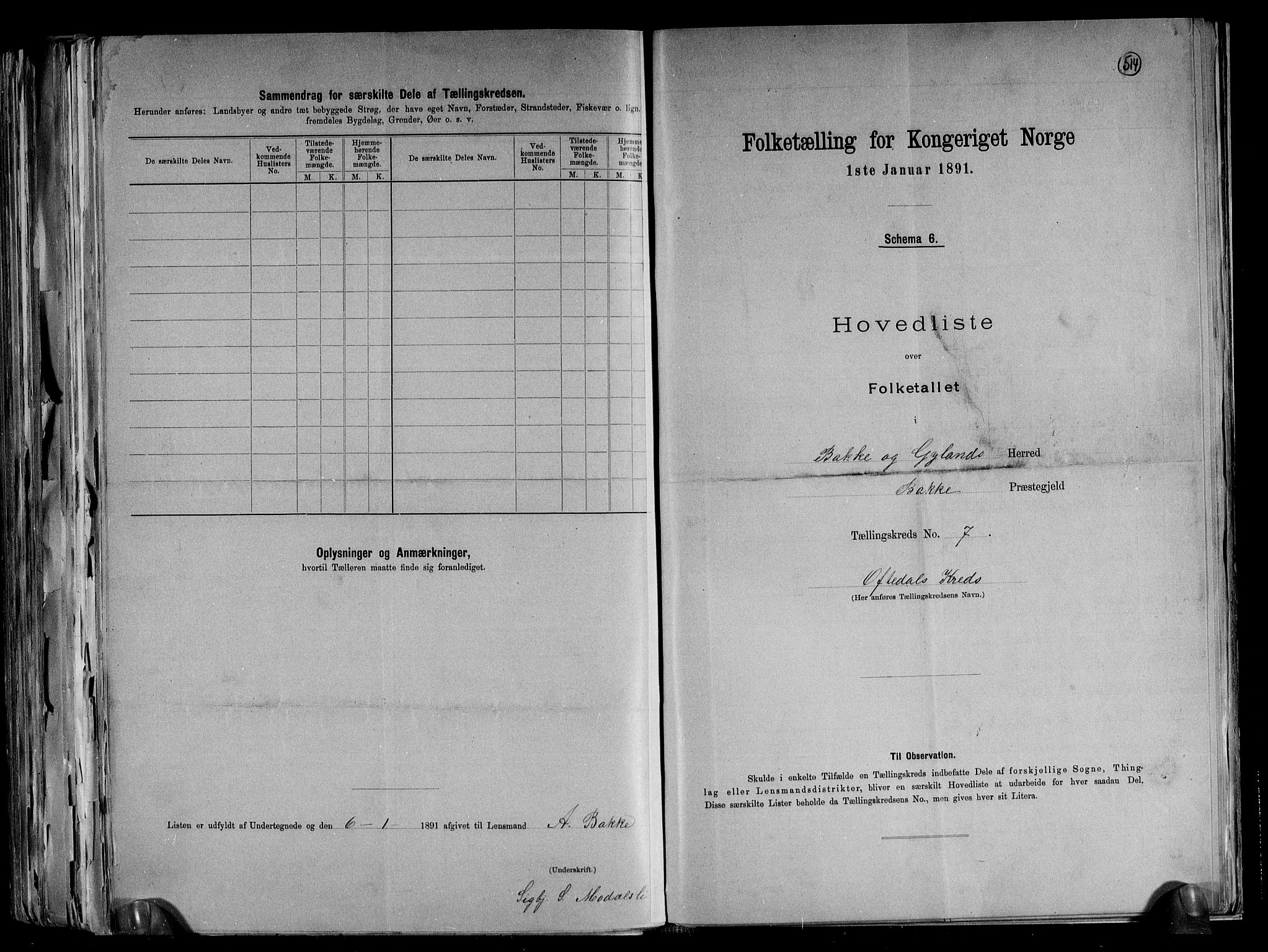 RA, 1891 census for 1045 Bakke, 1891, p. 17