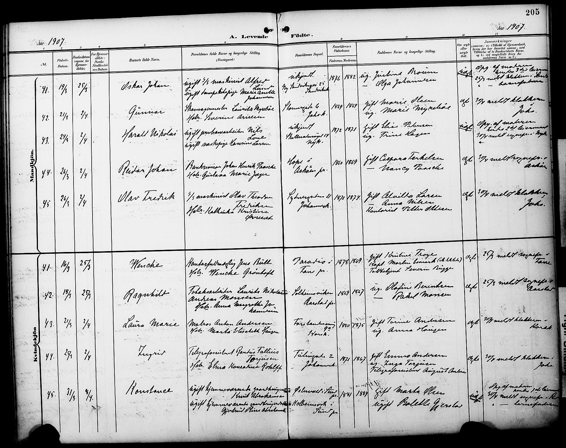 Fødselsstiftelsens sokneprestembete*, SAB/-: Parish register (official) no. A 3, 1901-1910, p. 205