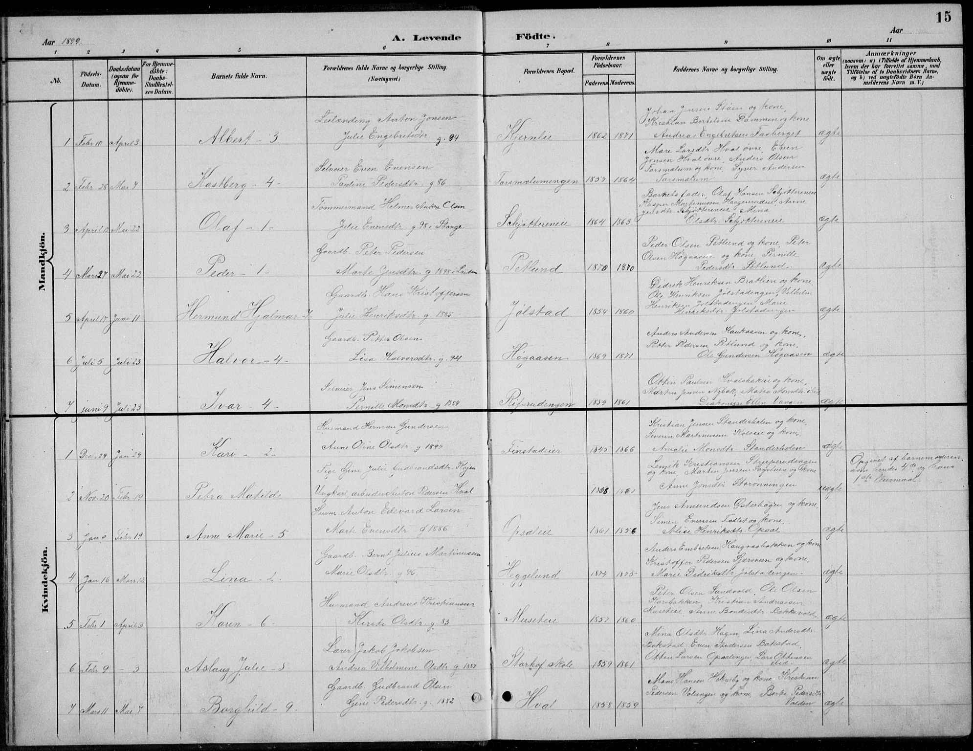 Romedal prestekontor, AV/SAH-PREST-004/L/L0013: Parish register (copy) no. 13, 1896-1937, p. 15