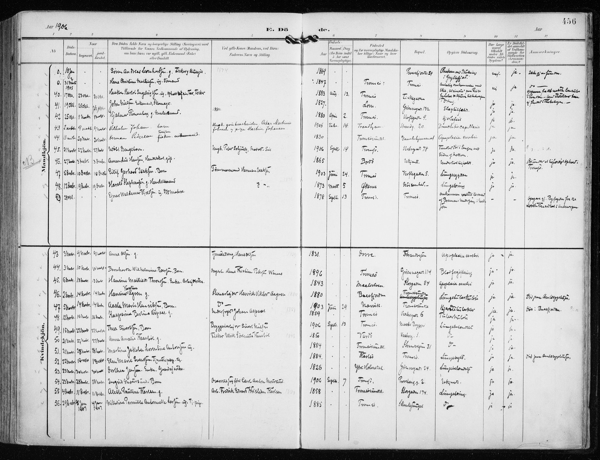 Tromsø sokneprestkontor/stiftsprosti/domprosti, AV/SATØ-S-1343/G/Ga/L0016kirke: Parish register (official) no. 16, 1899-1906, p. 456