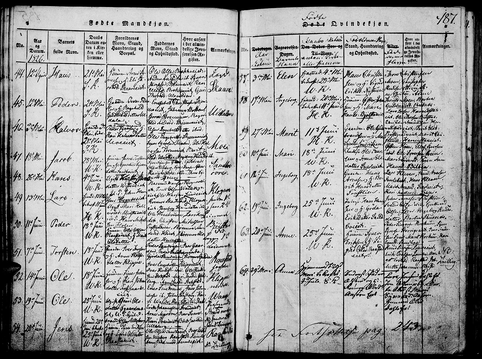 Vågå prestekontor, SAH/PREST-076/H/Ha/Hab/L0001: Parish register (copy) no. 1, 1815-1827, p. 186-187