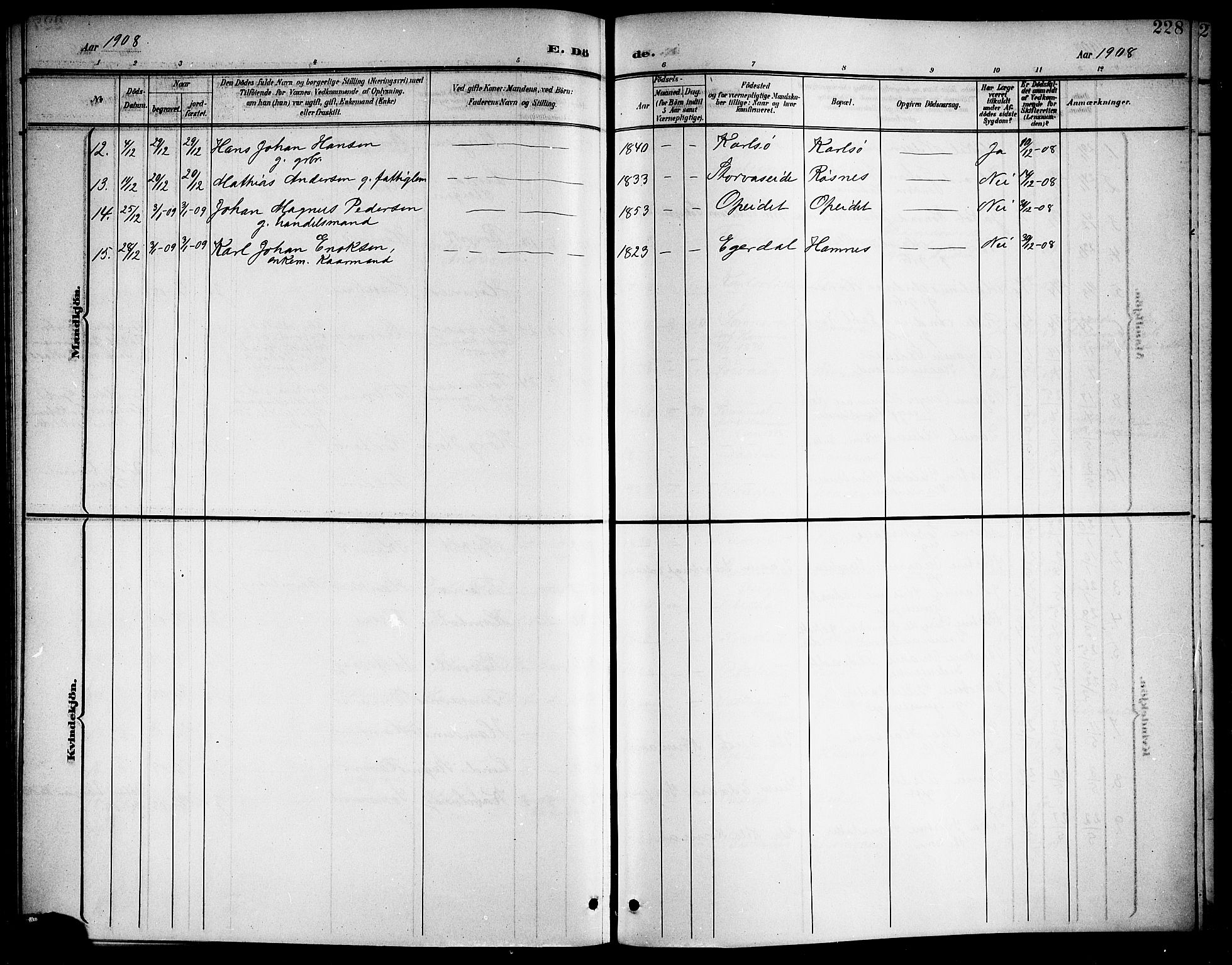 Ministerialprotokoller, klokkerbøker og fødselsregistre - Nordland, SAT/A-1459/859/L0860: Parish register (copy) no. 859C06, 1899-1909, p. 228
