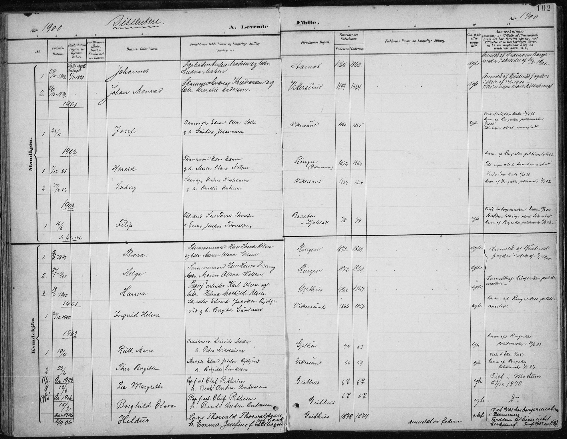 Modum kirkebøker, AV/SAKO-A-234/F/Fa/L0013: Parish register (official) no. 13, 1899-1907, p. 102