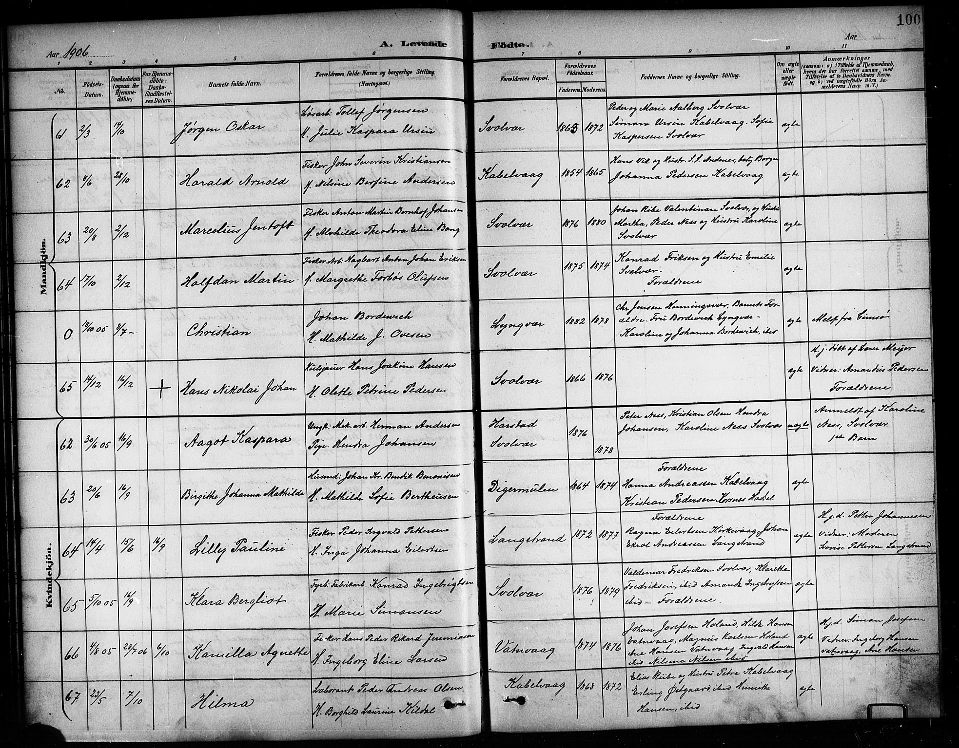 Ministerialprotokoller, klokkerbøker og fødselsregistre - Nordland, AV/SAT-A-1459/874/L1078: Parish register (copy) no. 874C07, 1900-1907, p. 100