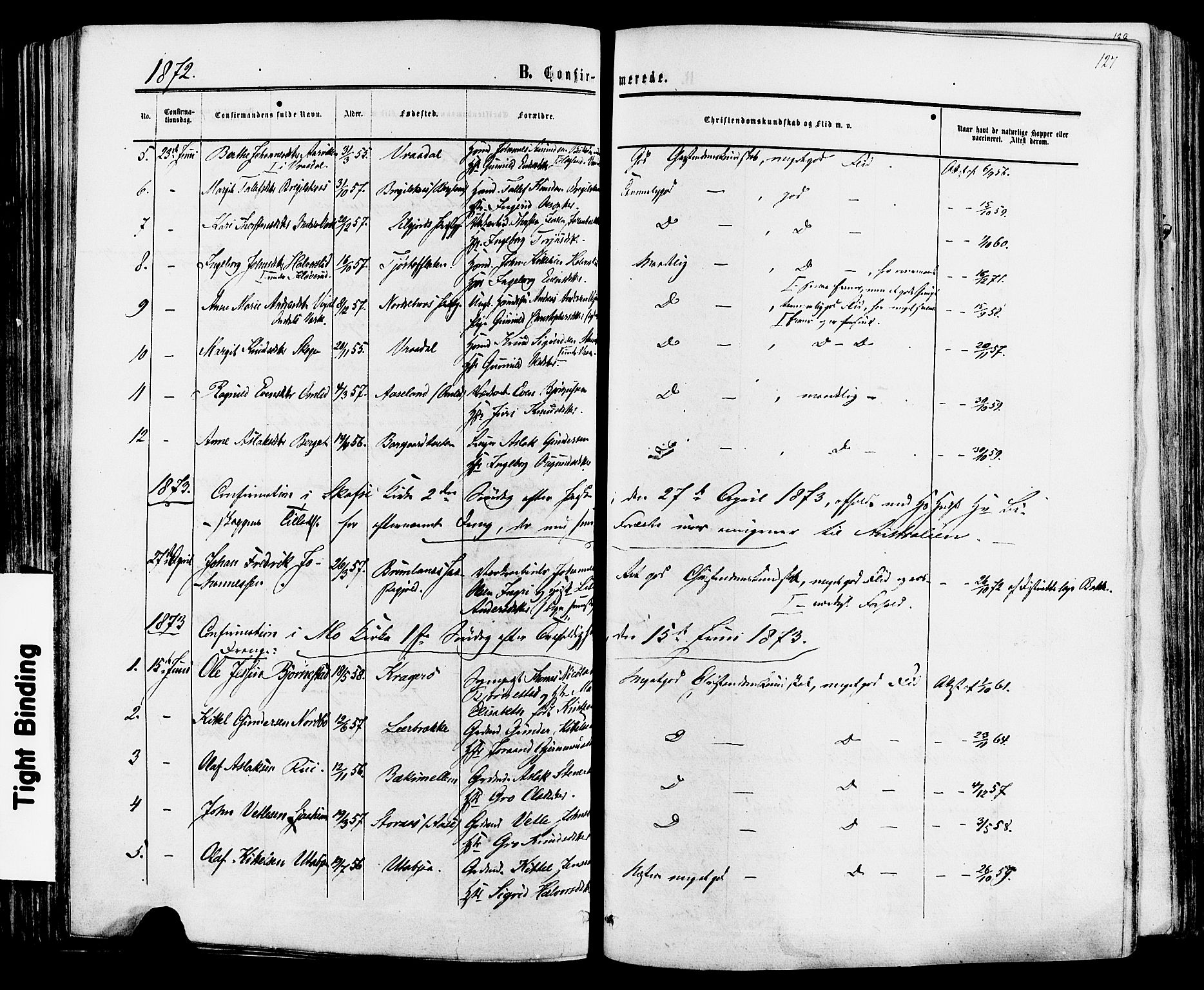 Mo kirkebøker, SAKO/A-286/F/Fa/L0006: Parish register (official) no. I 6, 1865-1885, p. 127