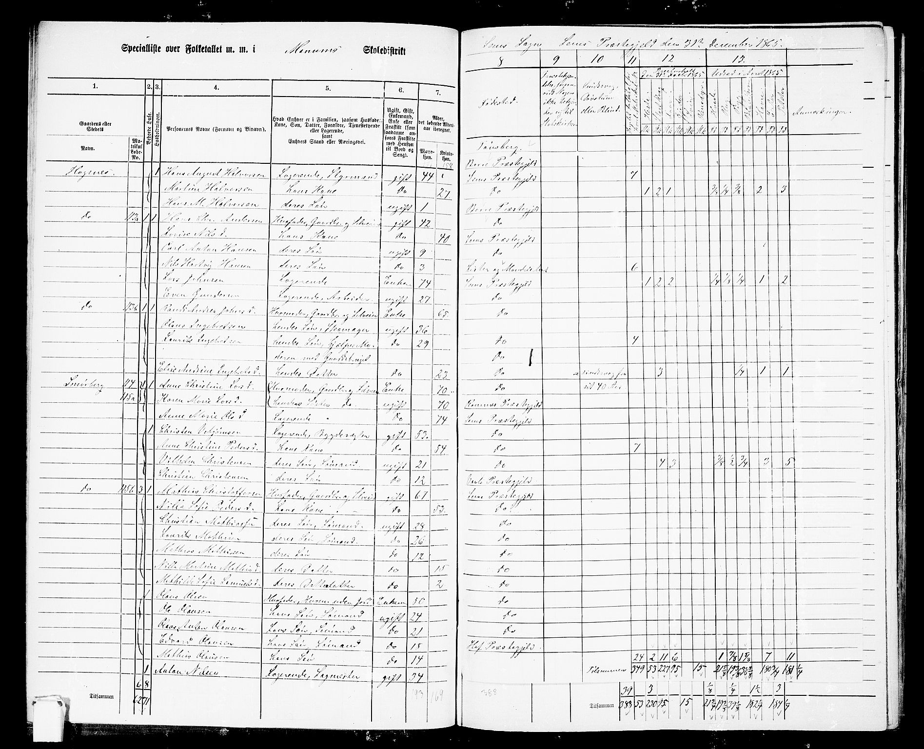 RA, 1865 census for Sem, 1865, p. 49