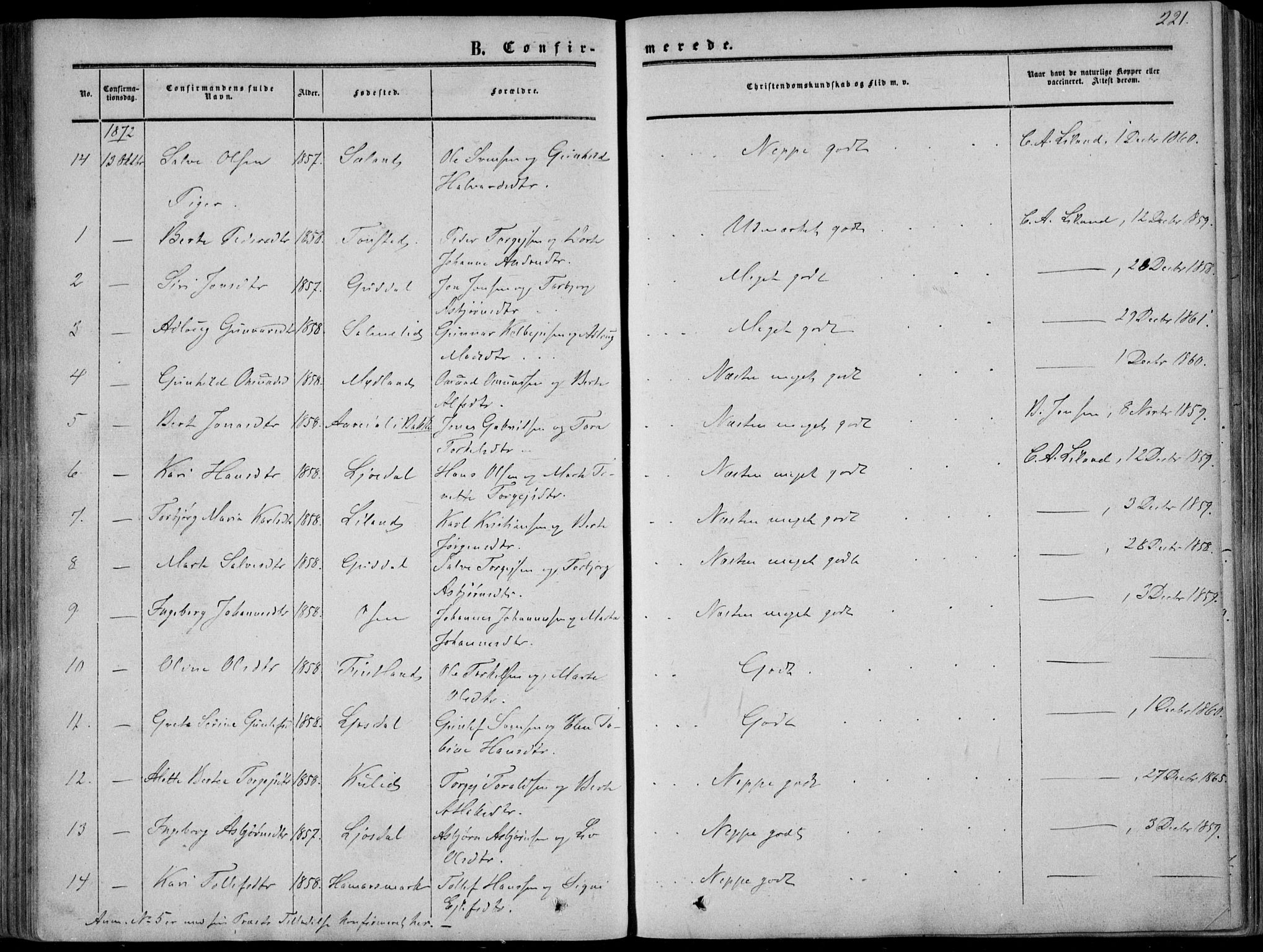 Sirdal sokneprestkontor, AV/SAK-1111-0036/F/Fa/Fab/L0002: Parish register (official) no. A 2, 1855-1874, p. 221