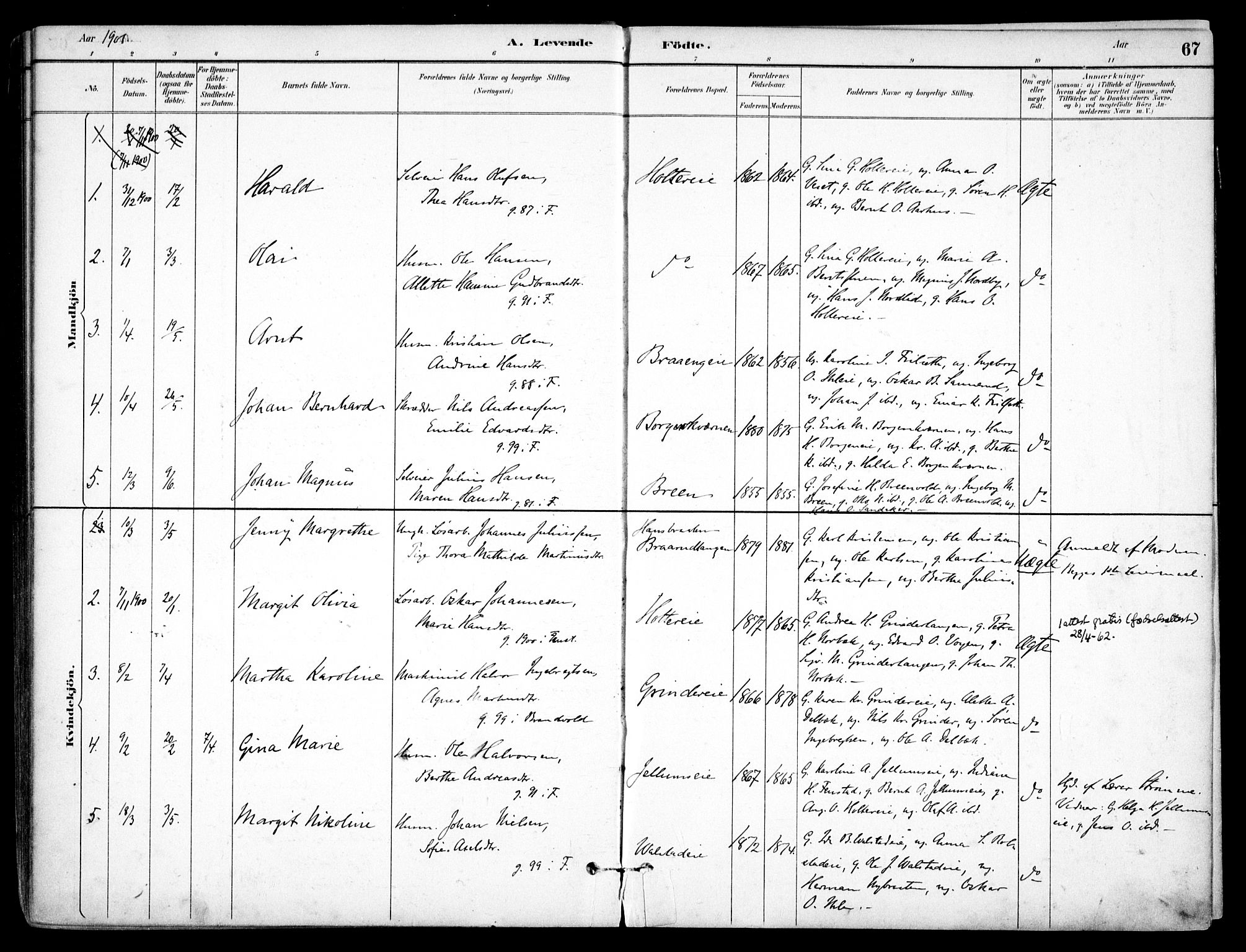 Nes prestekontor Kirkebøker, SAO/A-10410/F/Fb/L0002: Parish register (official) no. II 2, 1883-1918, p. 67