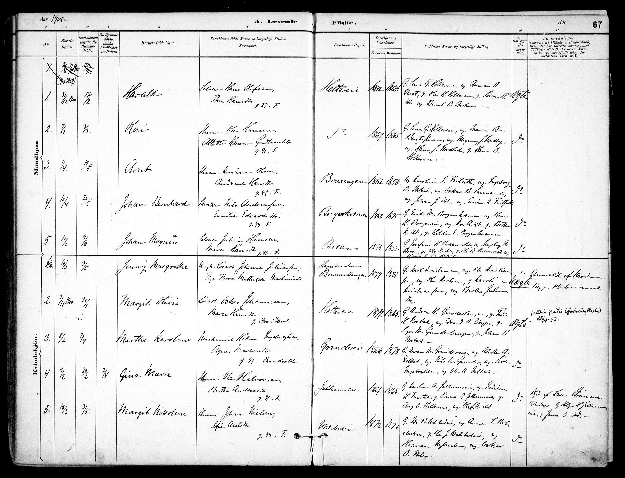 Nes prestekontor Kirkebøker, AV/SAO-A-10410/F/Fb/L0002: Parish register (official) no. II 2, 1883-1918, p. 67