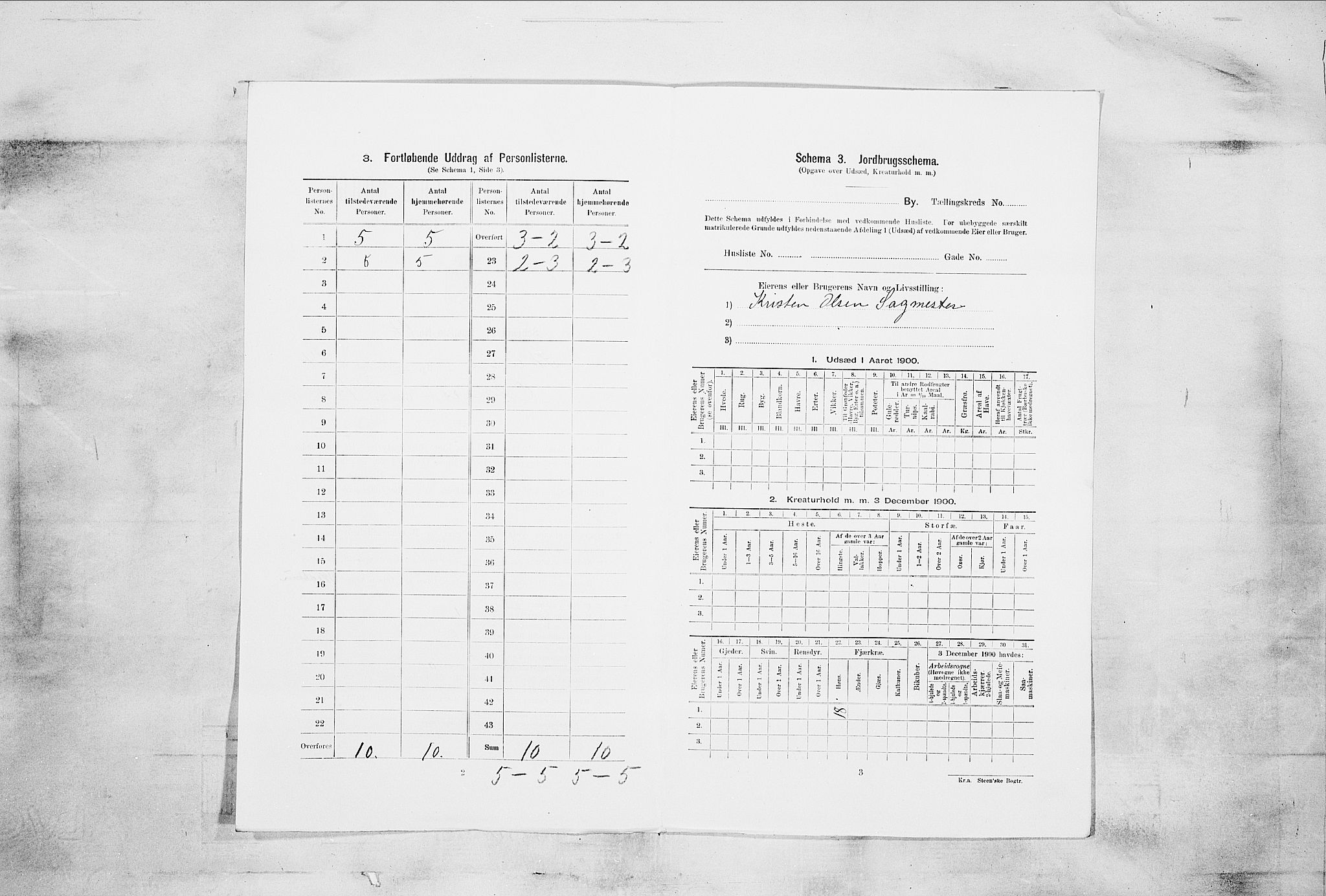SAKO, 1900 census for Skien, 1900, p. 2349