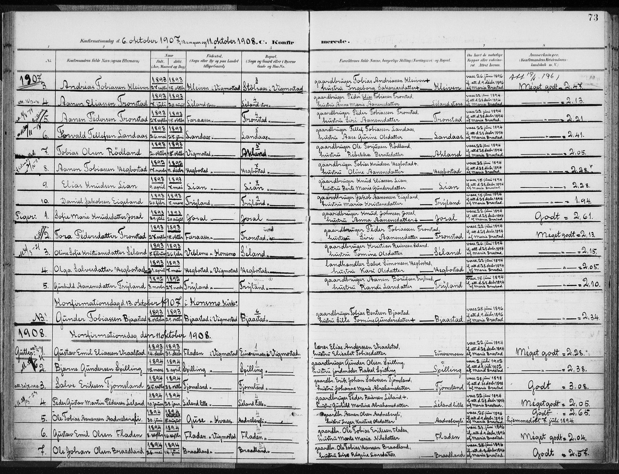 Nord-Audnedal sokneprestkontor, AV/SAK-1111-0032/F/Fa/Fab/L0004: Parish register (official) no. A 4, 1901-1917, p. 73