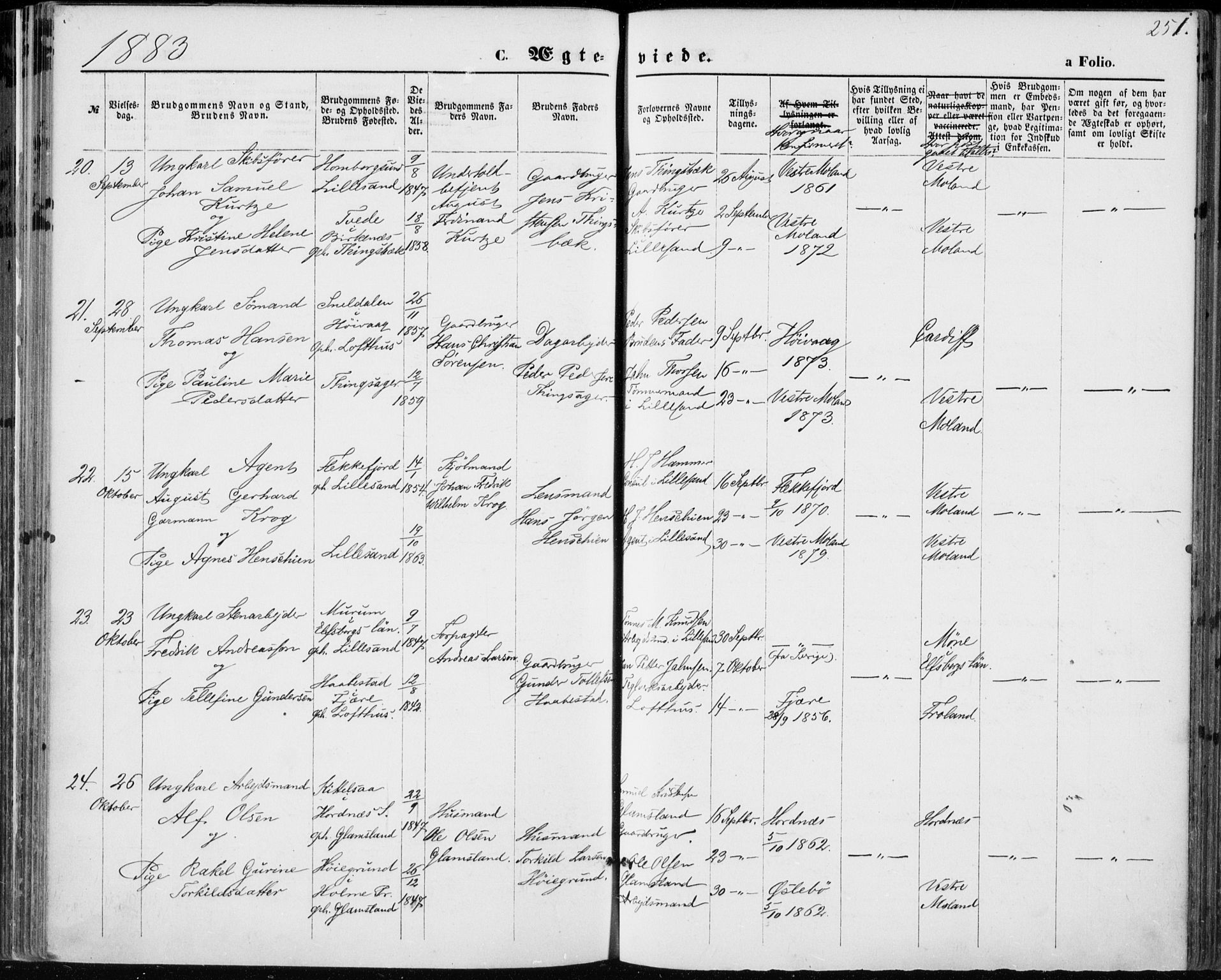 Vestre Moland sokneprestkontor, AV/SAK-1111-0046/F/Fa/Fab/L0008: Parish register (official) no. A 8, 1873-1883, p. 251