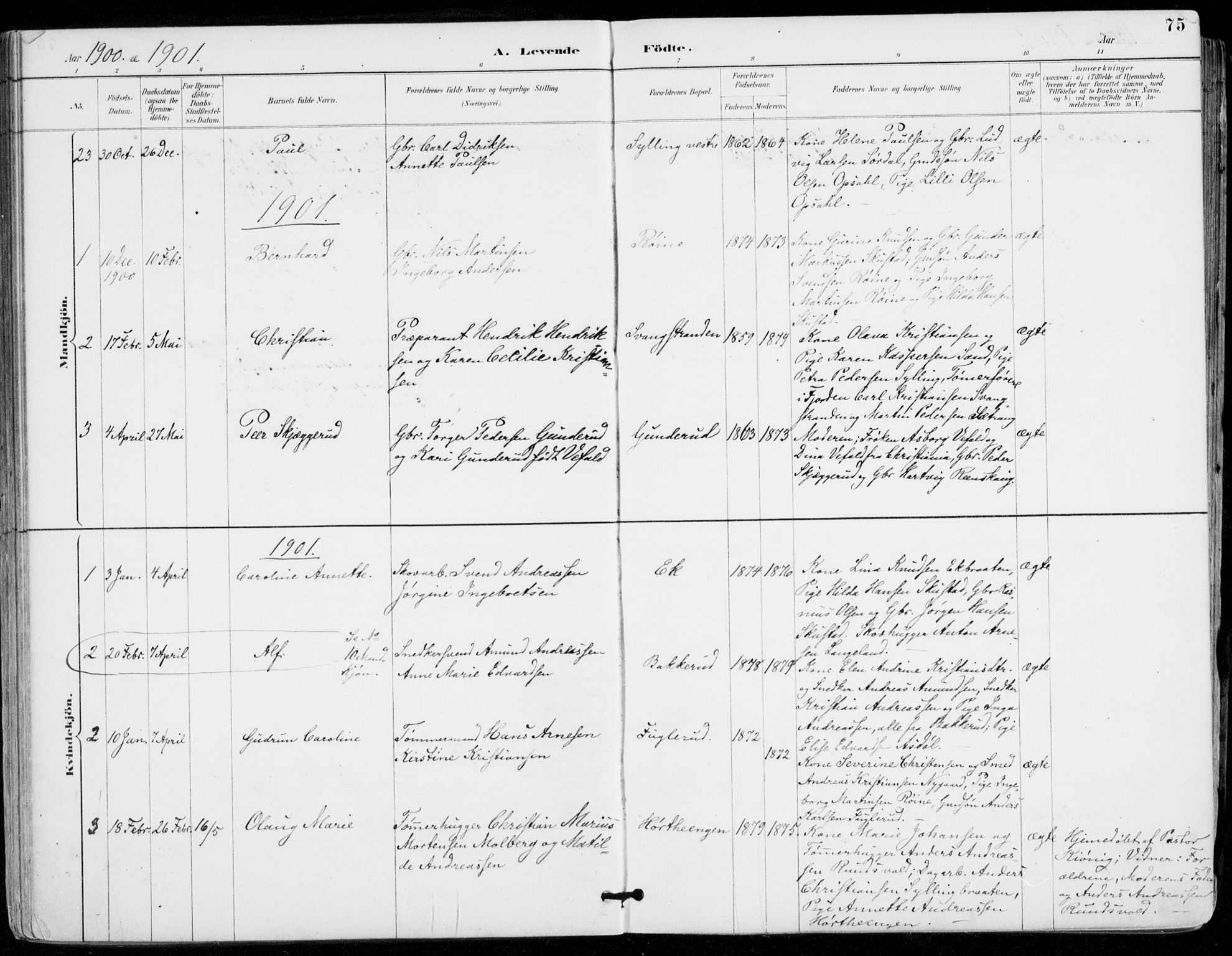 Sylling kirkebøker, AV/SAKO-A-247/F/Fa/L0001: Parish register (official) no. 1, 1883-1910, p. 75