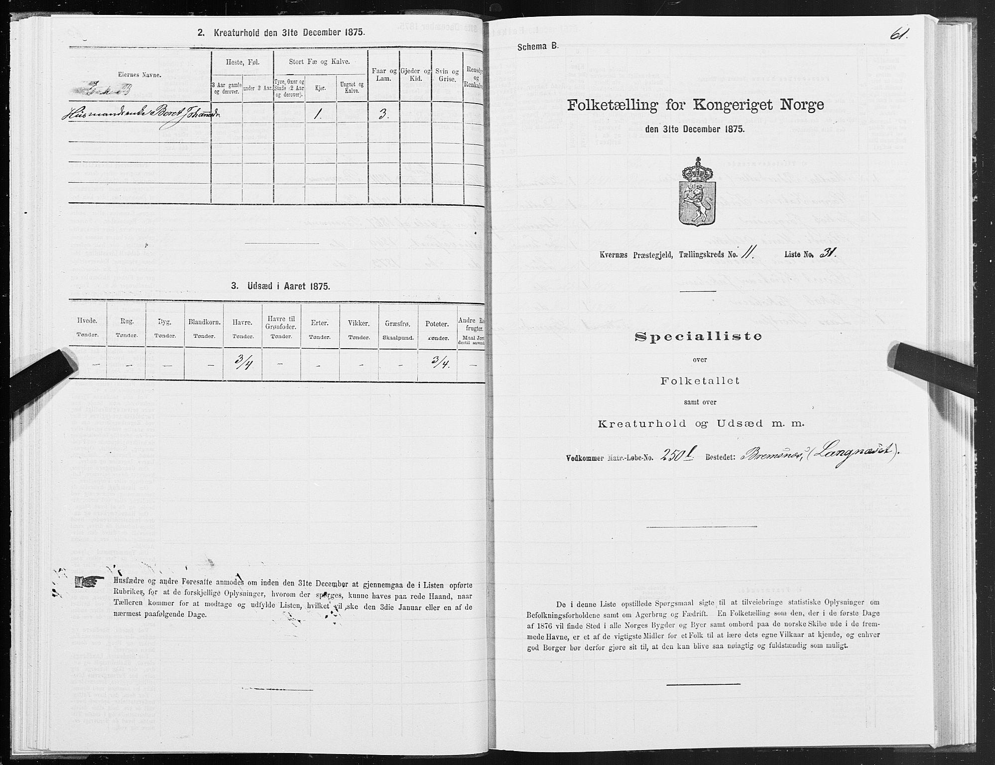 SAT, 1875 census for 1553P Kvernes, 1875, p. 6061