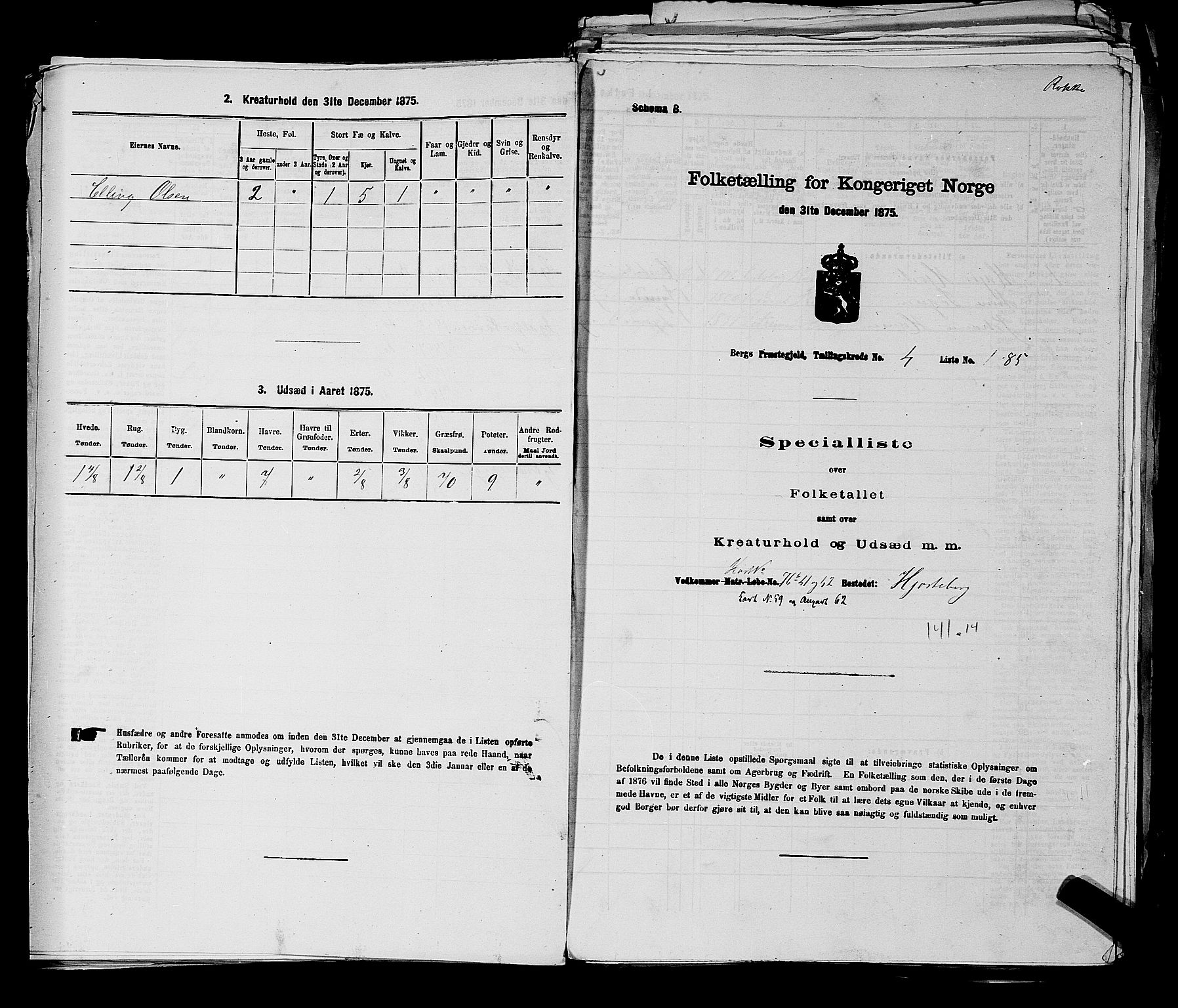 RA, 1875 census for 0116P Berg, 1875, p. 491