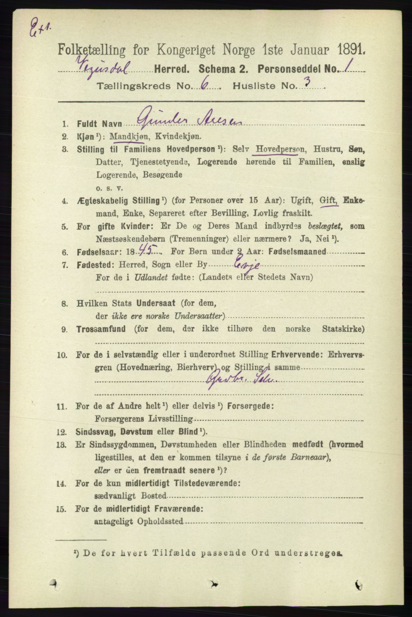 RA, Census 1891 for Nedenes amt: Gjenparter av personsedler for beslektede ektefeller, menn, 1891, p. 928