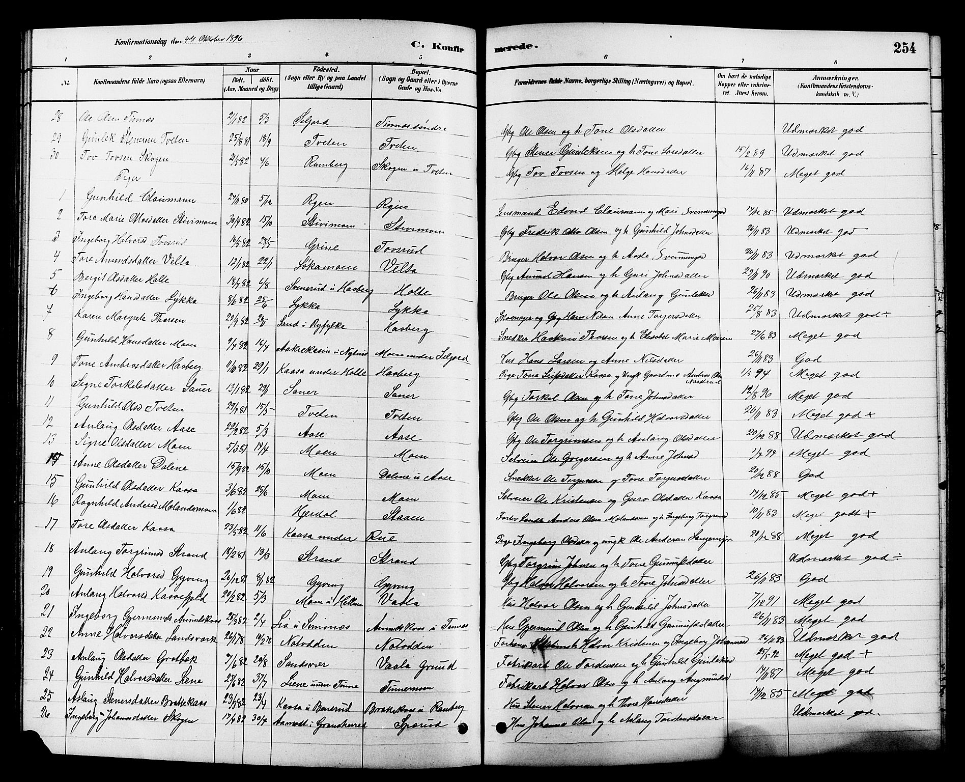 Heddal kirkebøker, SAKO/A-268/G/Ga/L0002: Parish register (copy) no. I 2, 1879-1908, p. 254