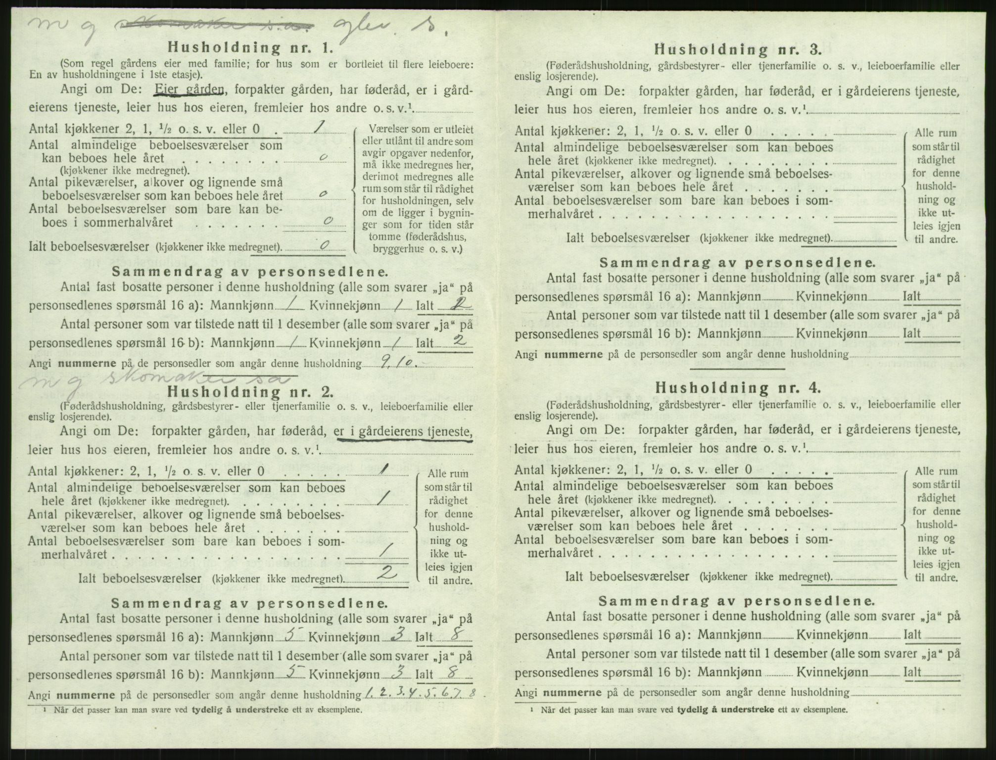 SAT, 1920 census for Eid (MR), 1920, p. 113