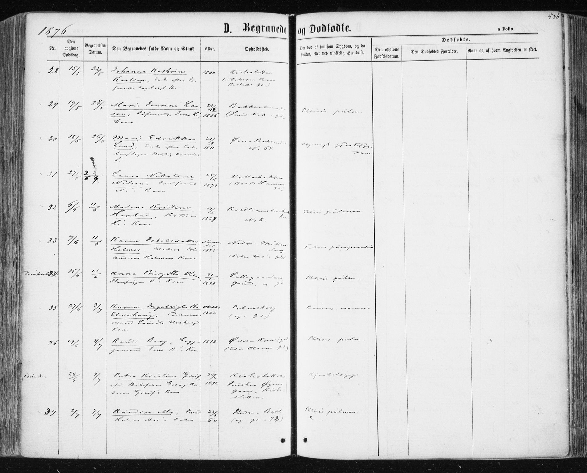 Ministerialprotokoller, klokkerbøker og fødselsregistre - Sør-Trøndelag, AV/SAT-A-1456/604/L0186: Parish register (official) no. 604A07, 1866-1877, p. 536