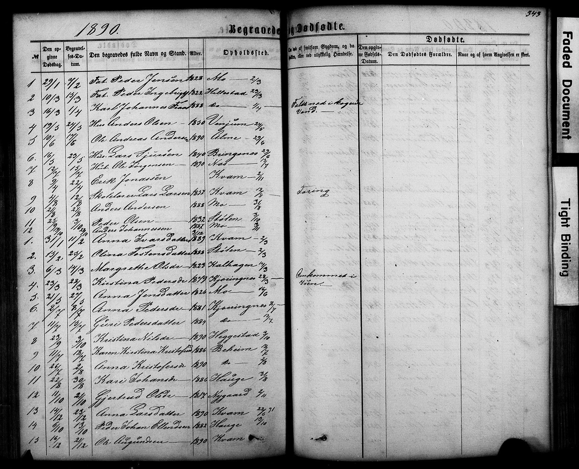 Hafslo sokneprestembete, SAB/A-80301/H/Hab/Haba/L0001: Parish register (copy) no. A 1, 1866-1908, p. 343